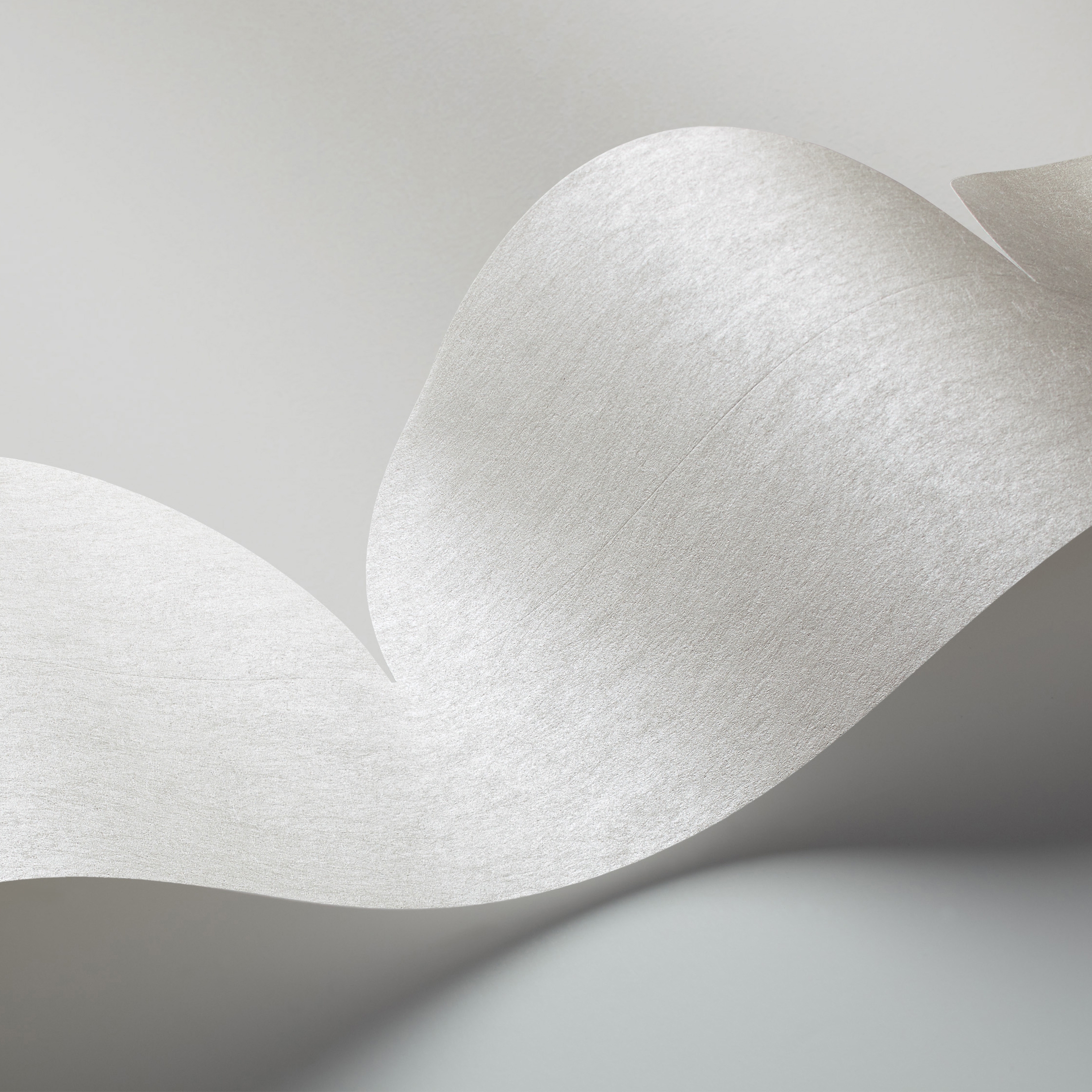 Mostrar el producto Front | Cut Edge del fabricante Borastapeter