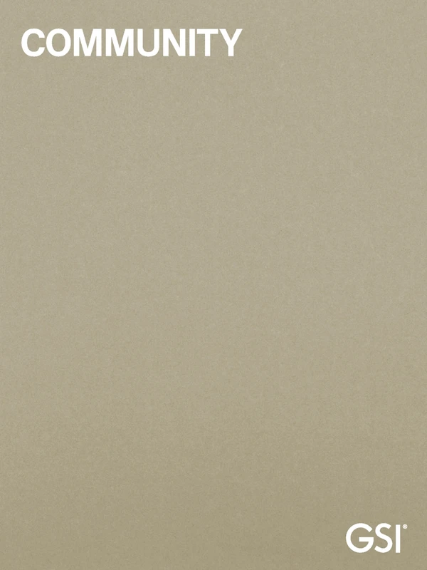 Vorschaubild für die Datei GSI | Community 2019