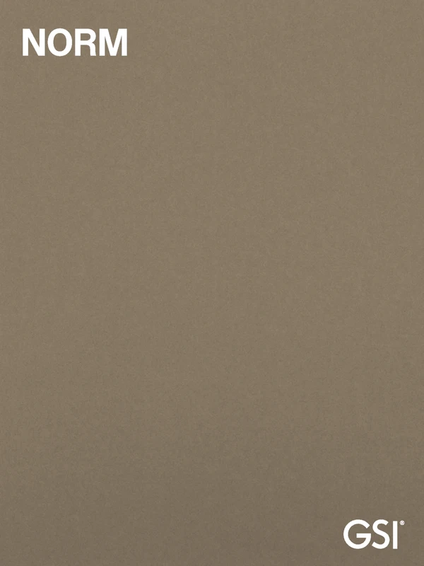 Vorschaubild für die Datei GSI | Norm 2019