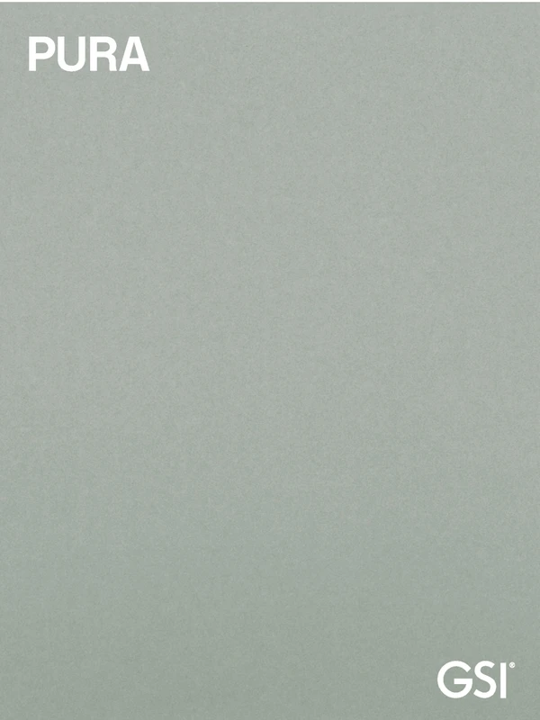 Vorschaubild für die Datei GSI | Pura 2019