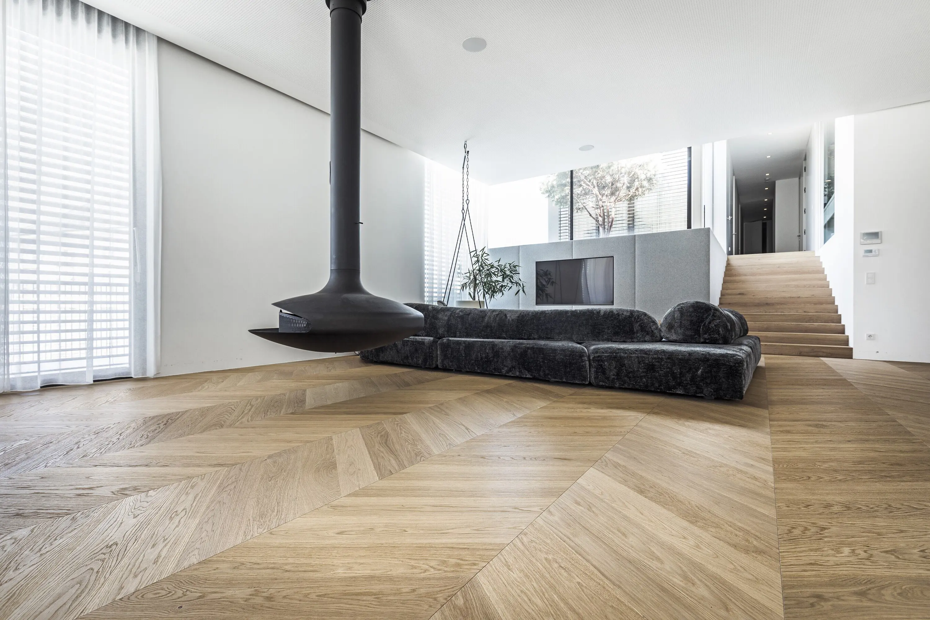 Trapa - Oak Knotty
