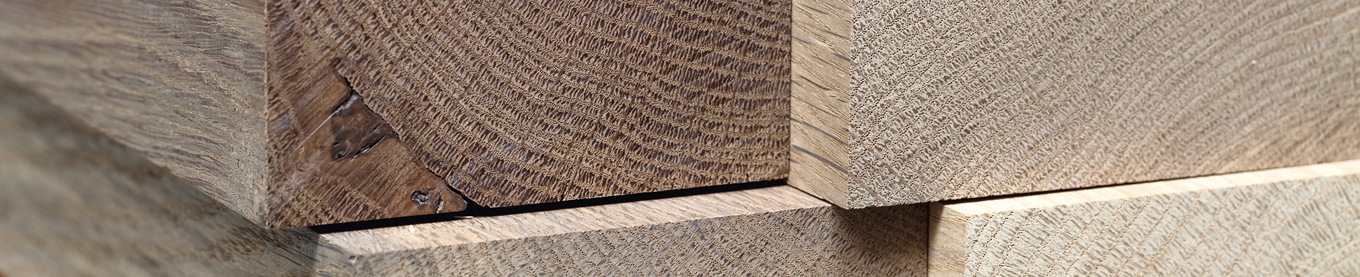 Descubrir el mundo del fabricante Trapa