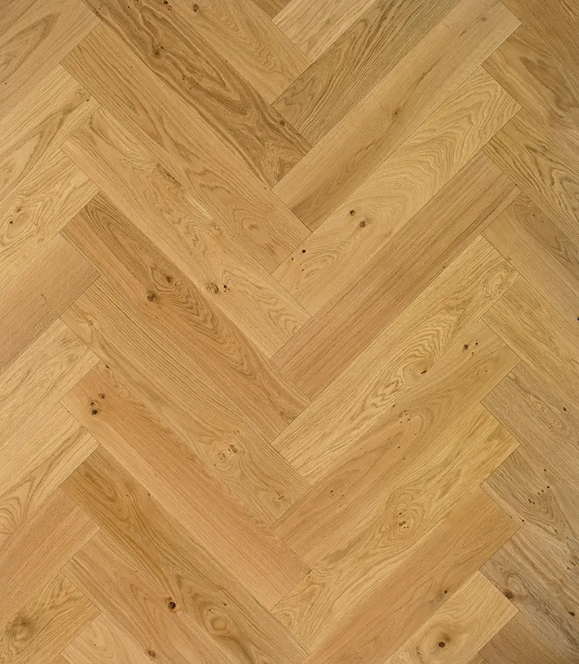Trapa - Oak Knotty