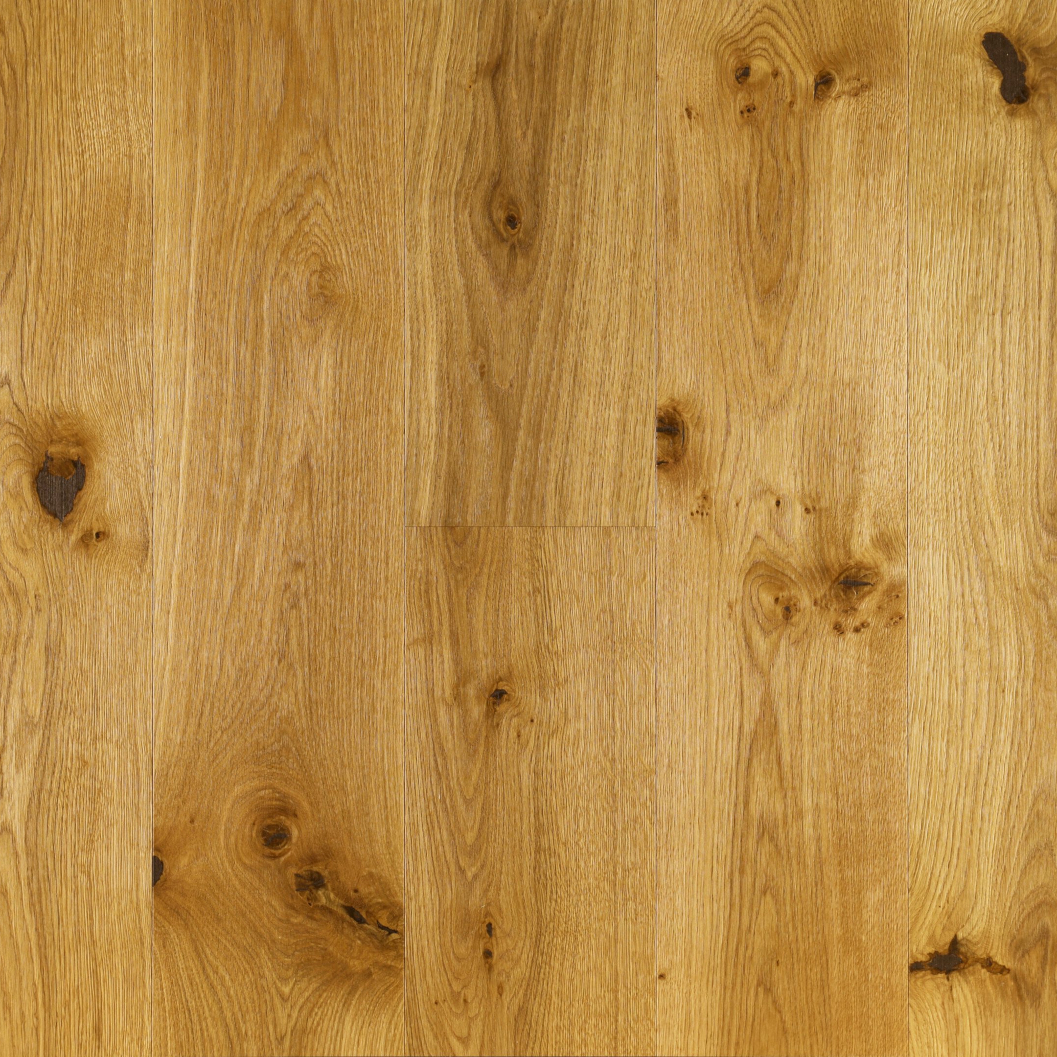 Afficher le produit Oak Traditional du fabricant Trapa