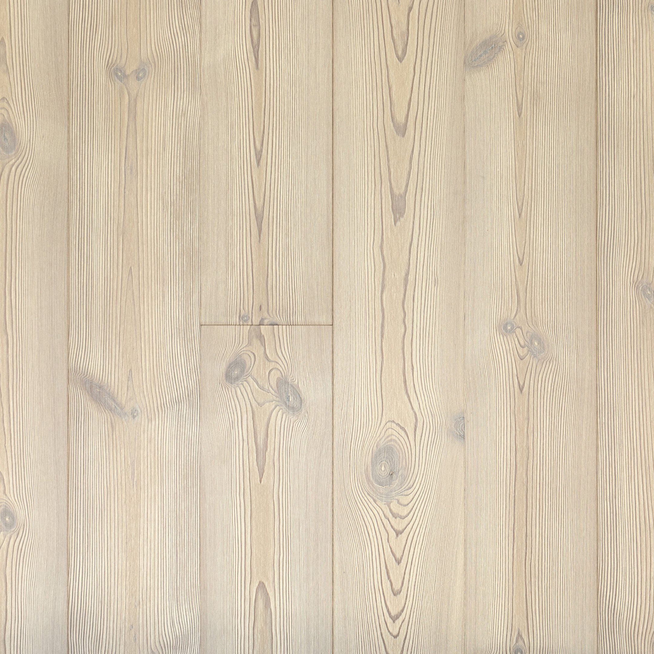 Display product Terra Pine Bolzano from manufacturer Trapa