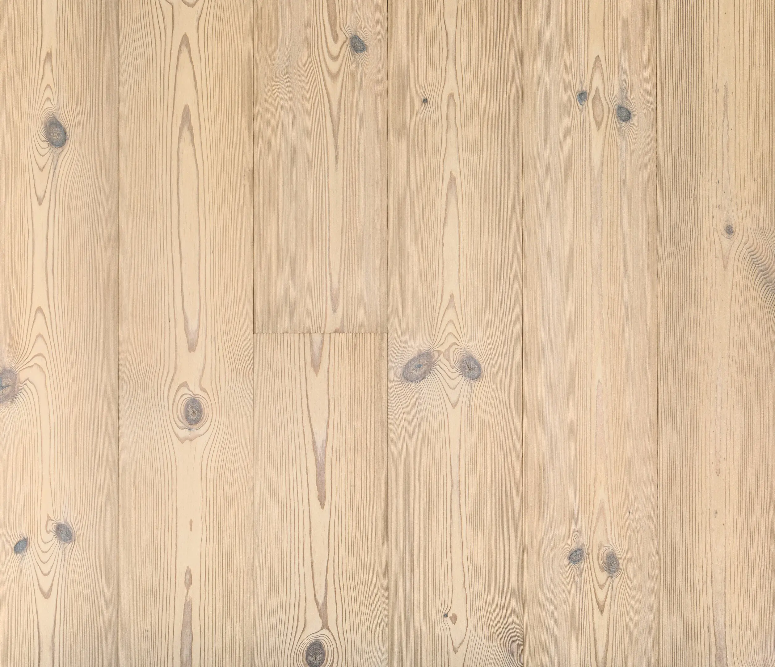 Trapa - Terra Pine Cavalese