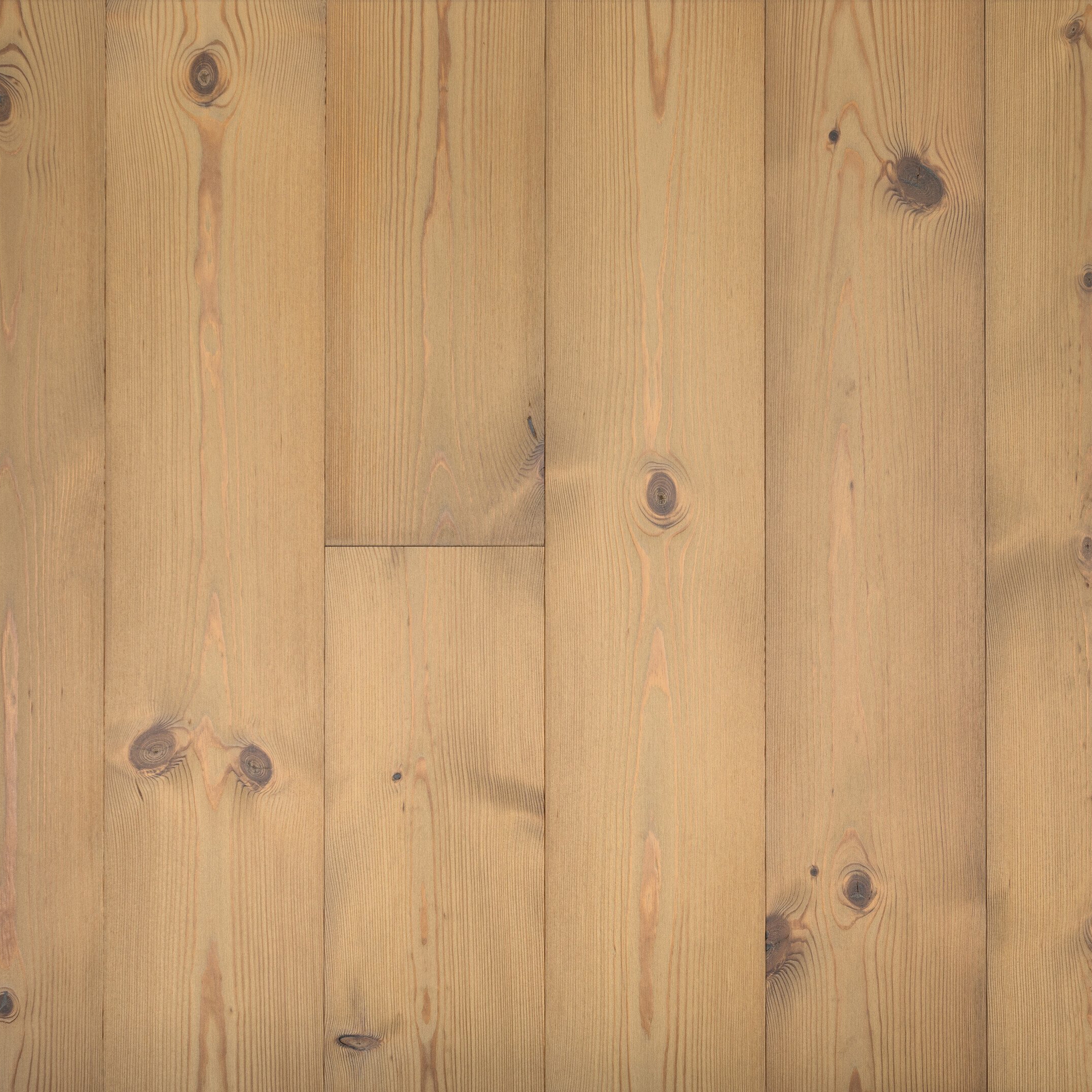 Terra Pine Rovereto