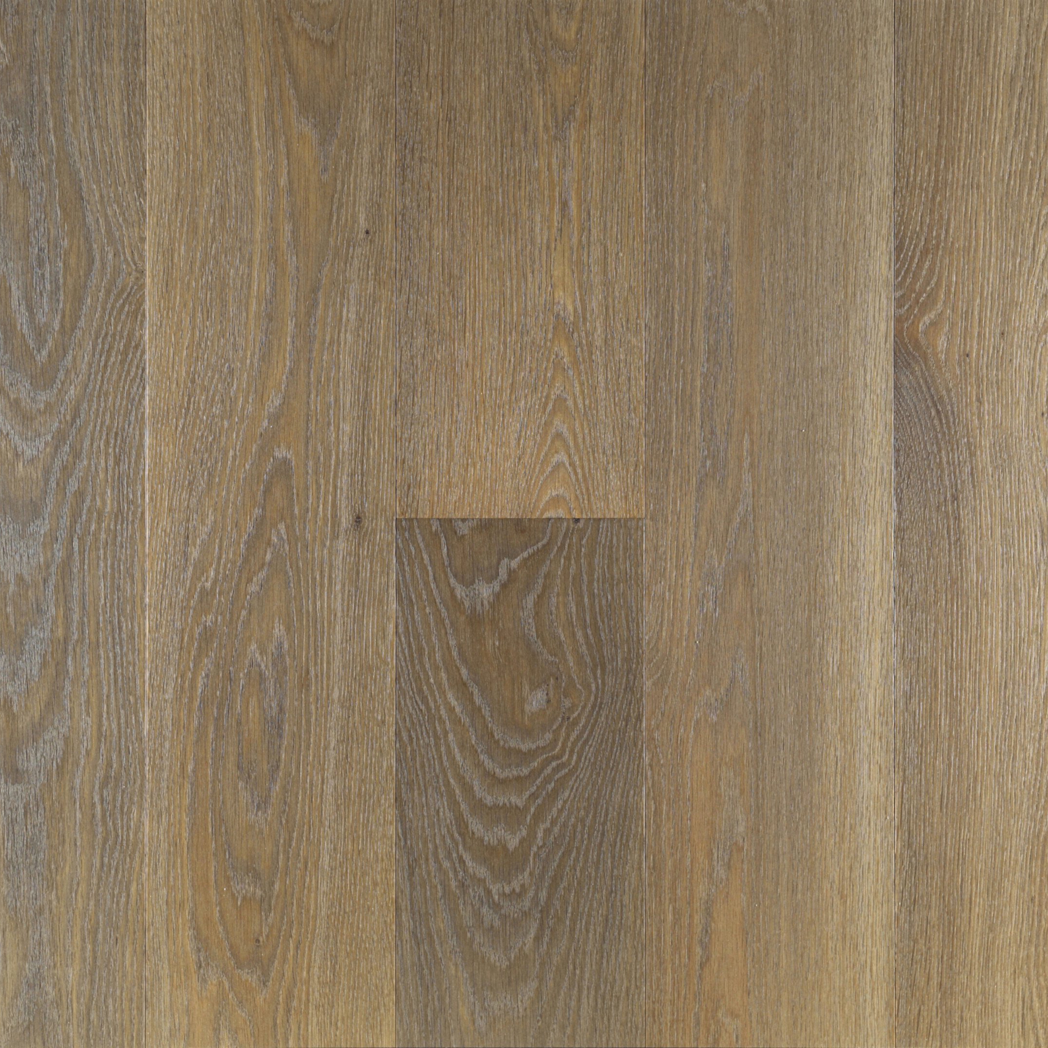 Display product Bog-look Oak Placid Ancona from manufacturer Trapa