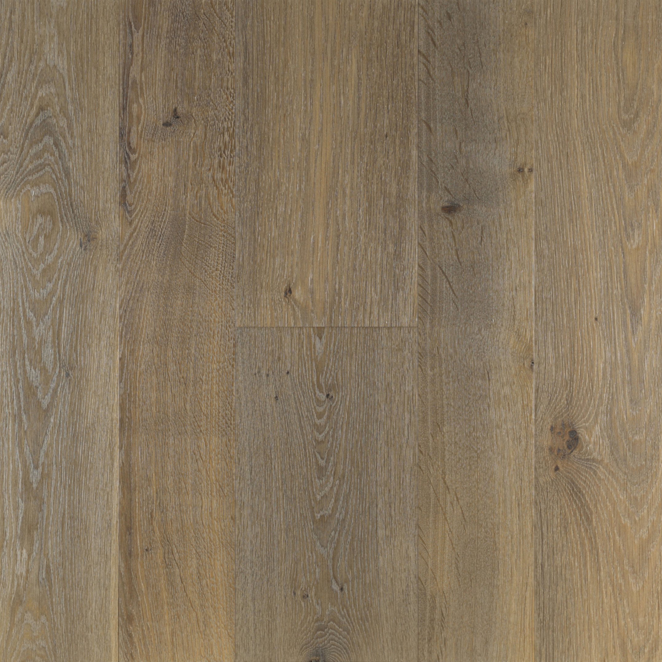 Display product Bog-look Oak Knotty Ancona from manufacturer Trapa