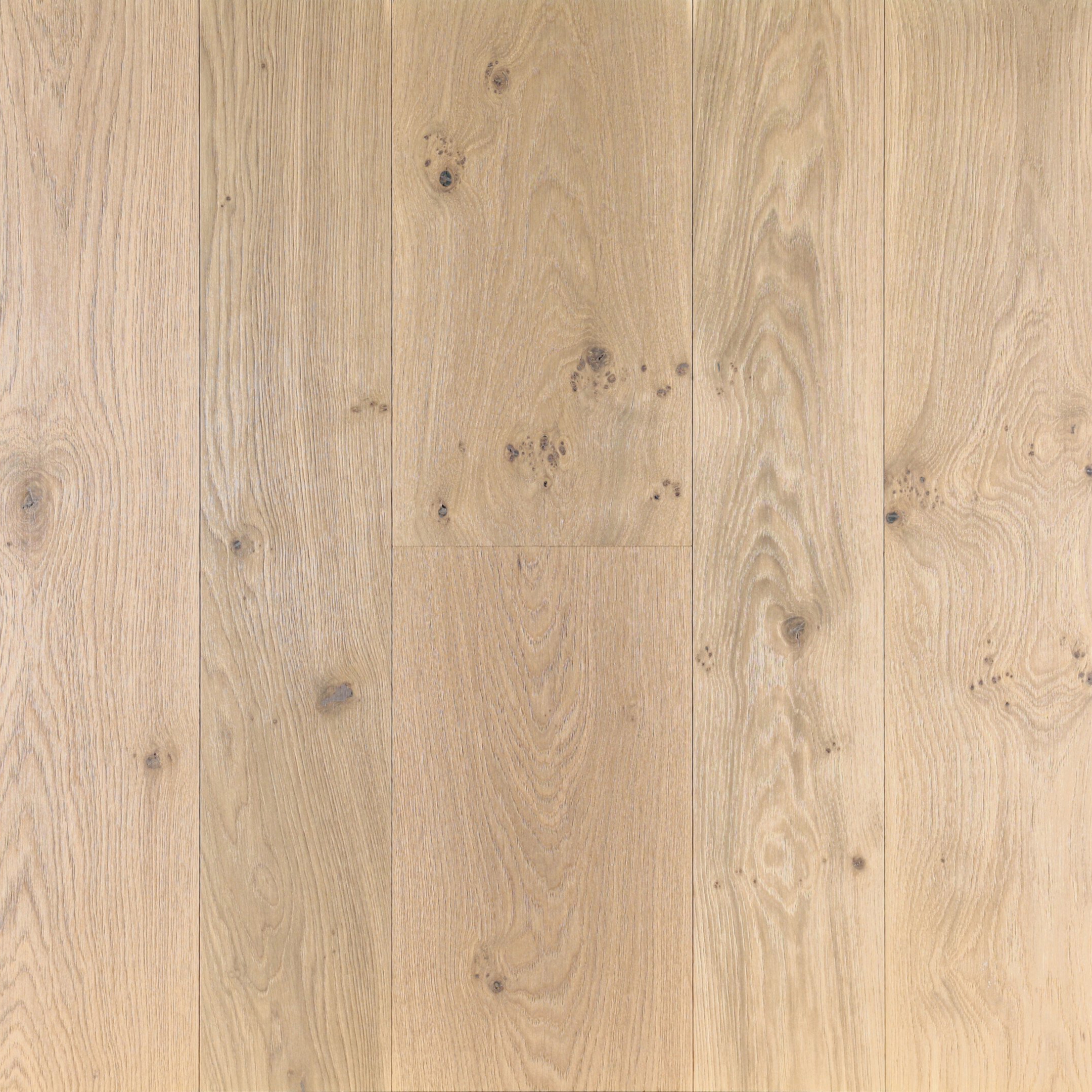 Display product Oak Knotty Carezza from manufacturer Trapa