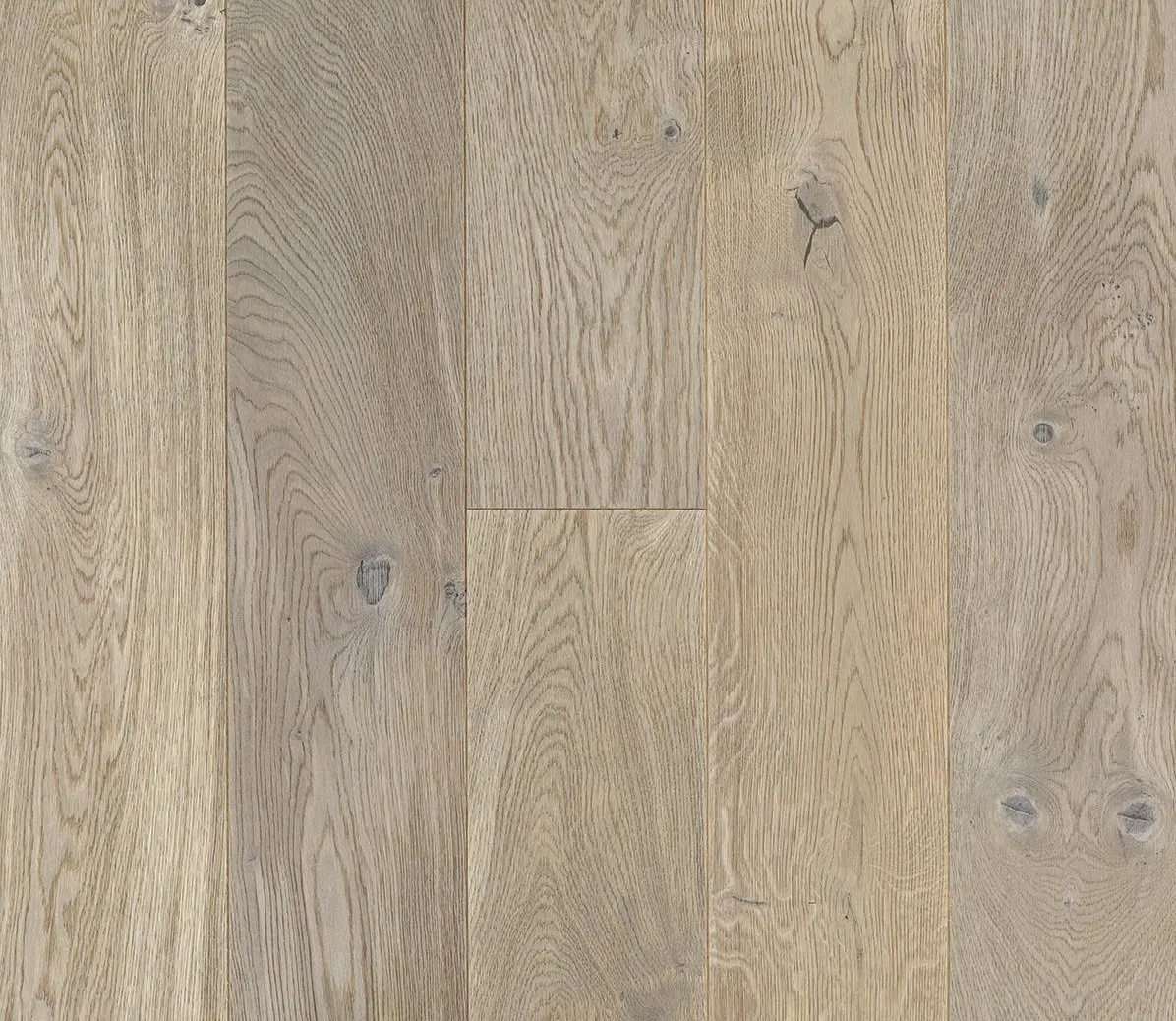 Trapa - Oak Rustic Lucca