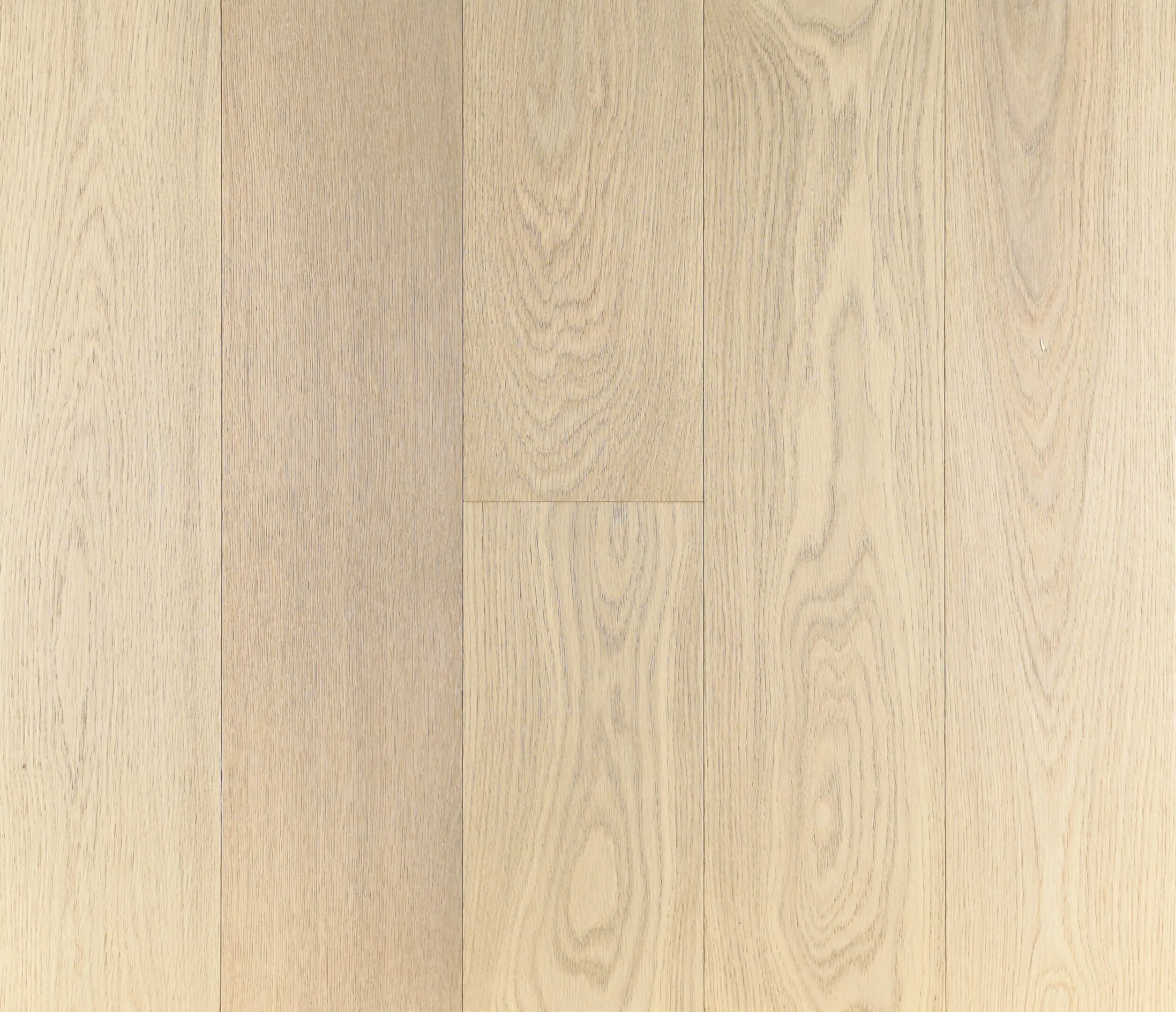 Trapa - Limeoak Placid