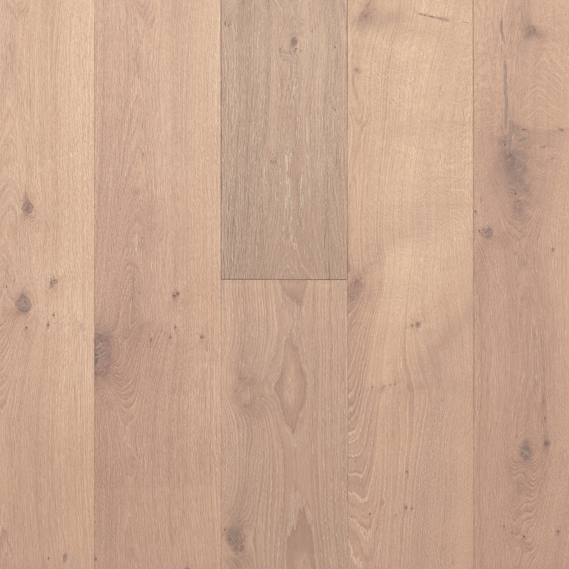 Display product Brown Oak Natura Bianco from manufacturer Trapa