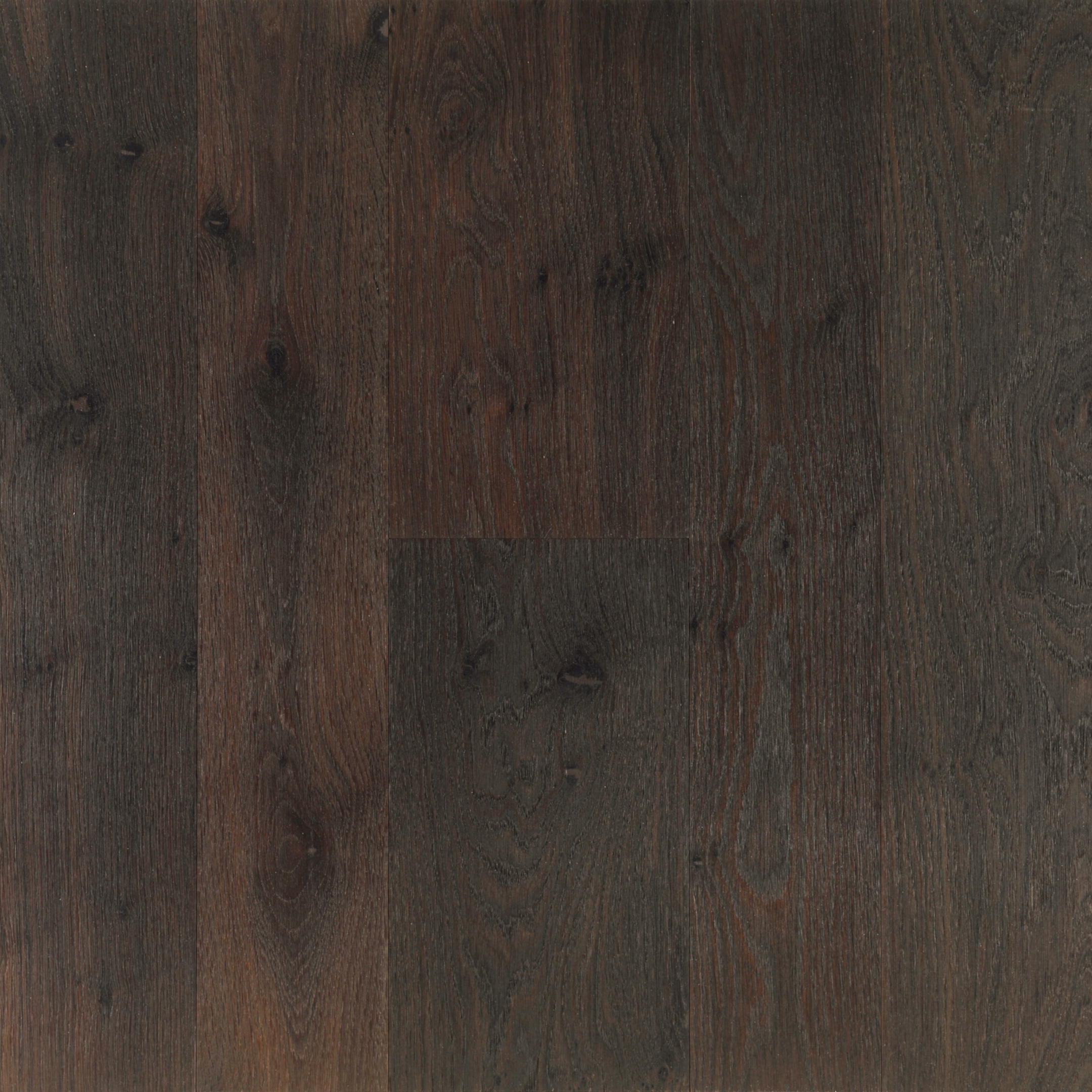 Terra Oak Knotty Modena