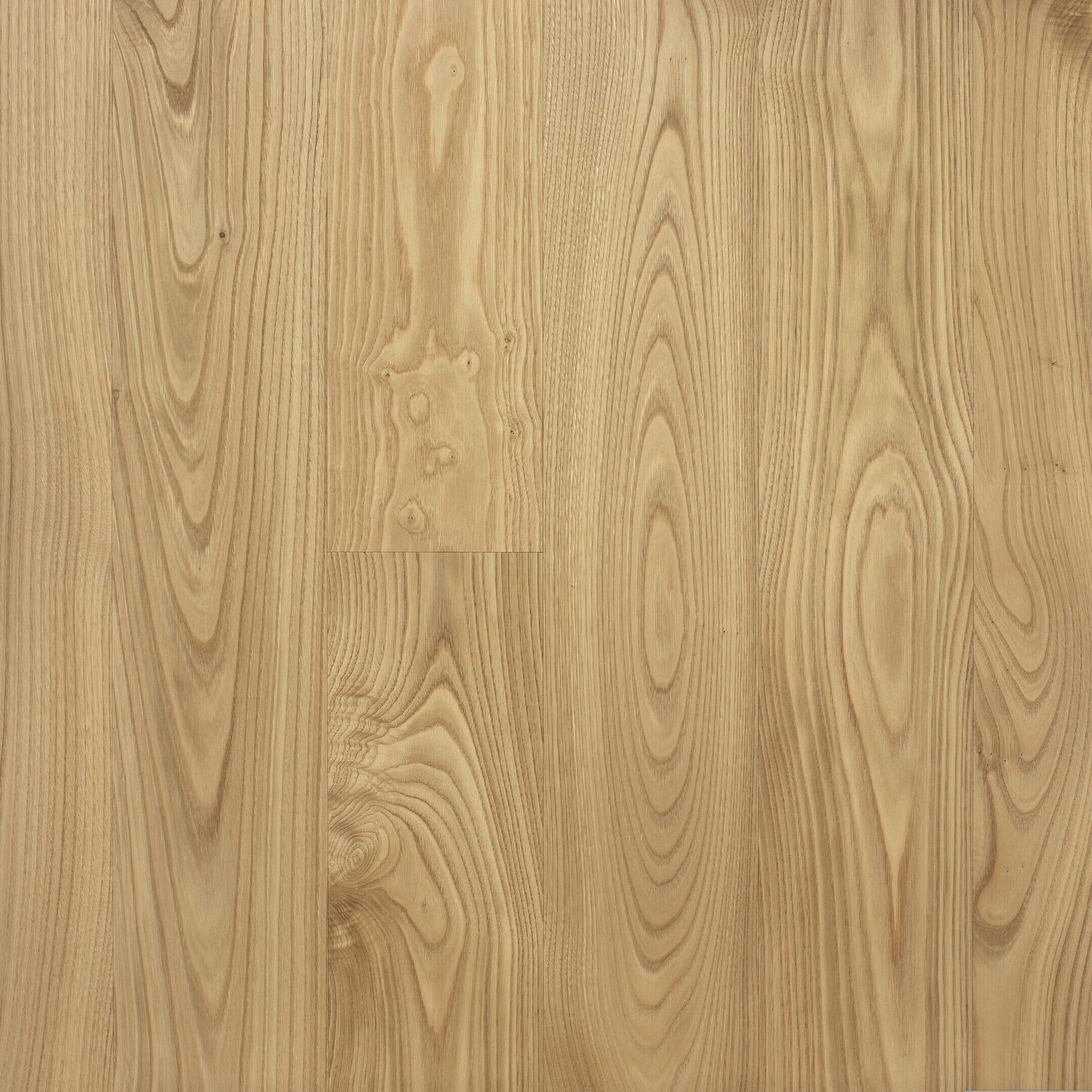 Chestnut Placid Natural