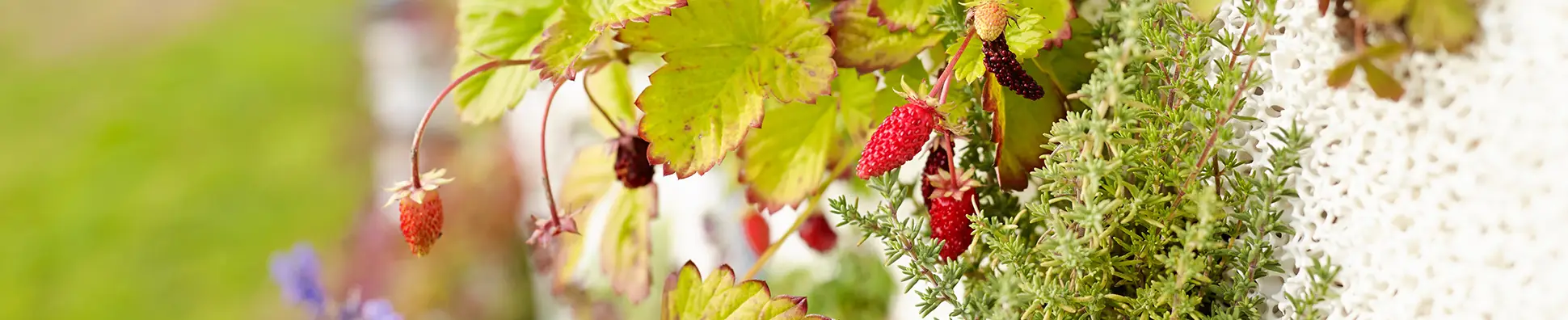 Creabeton Matériaux