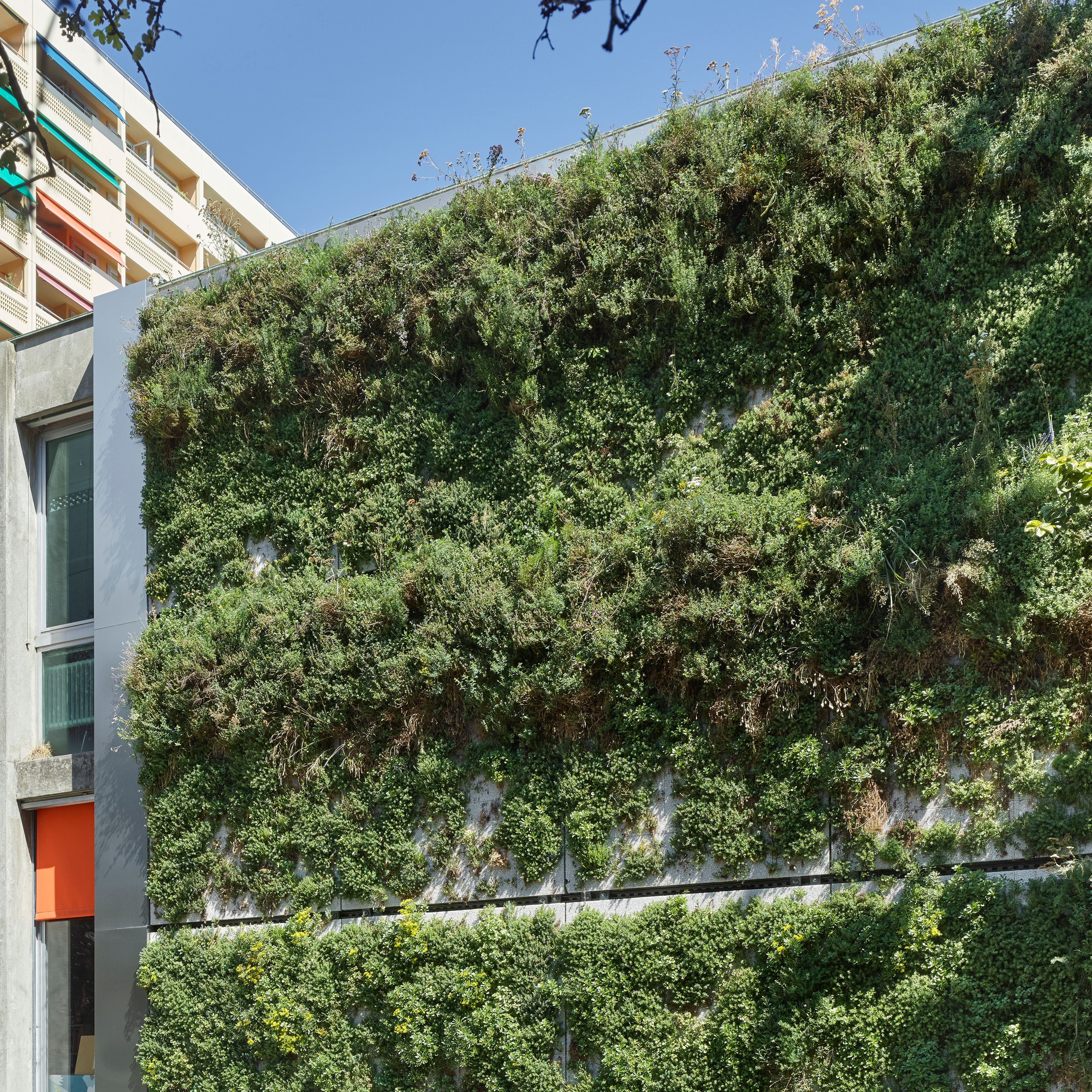 Display product SKYFLOR® - Green Wall Facade System from manufacturer Creabeton Matériaux