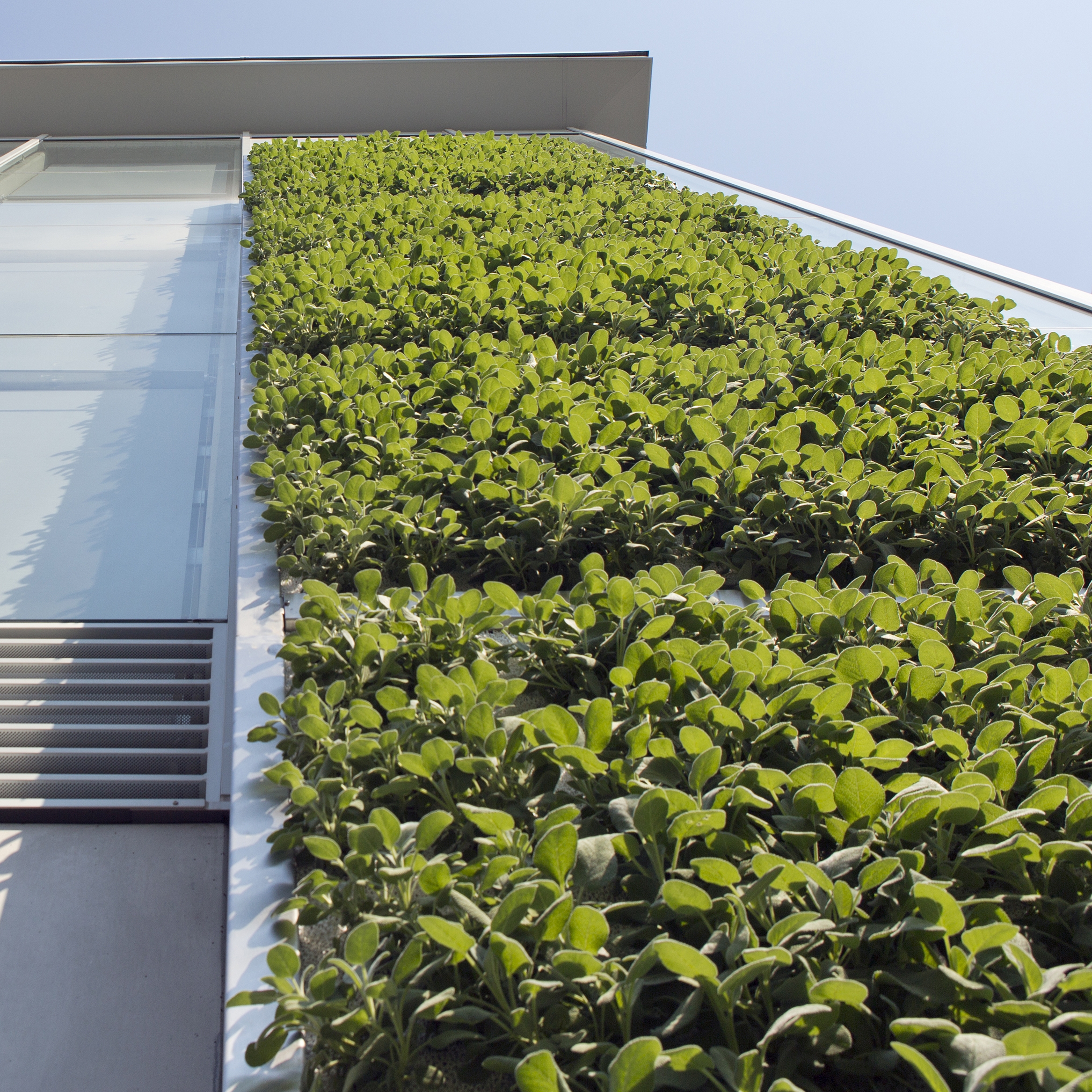 Display product SKYFLOR® - Green Wall Facade System from manufacturer Creabeton Matériaux