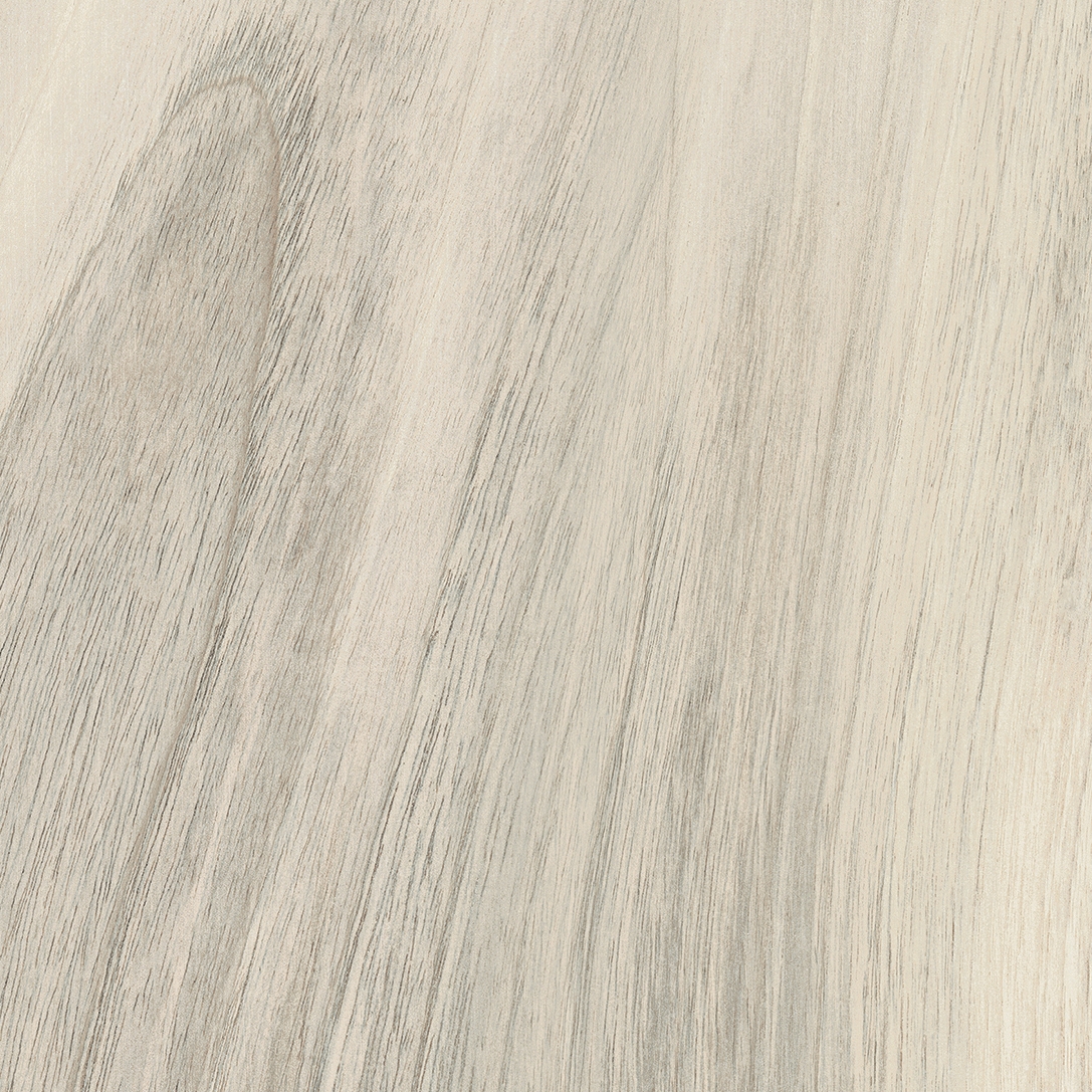 La Fabbrica - Kauri - Catlins