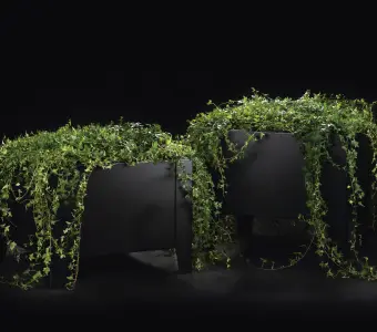 Hags - Flox | Planter High