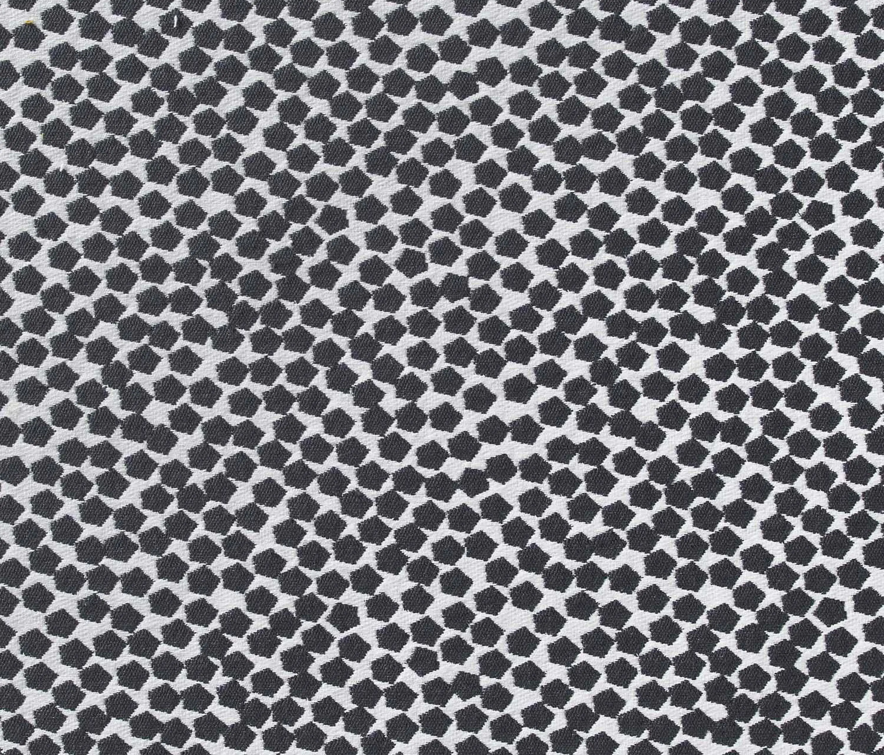 NOBILIS - Bubble 10591_23