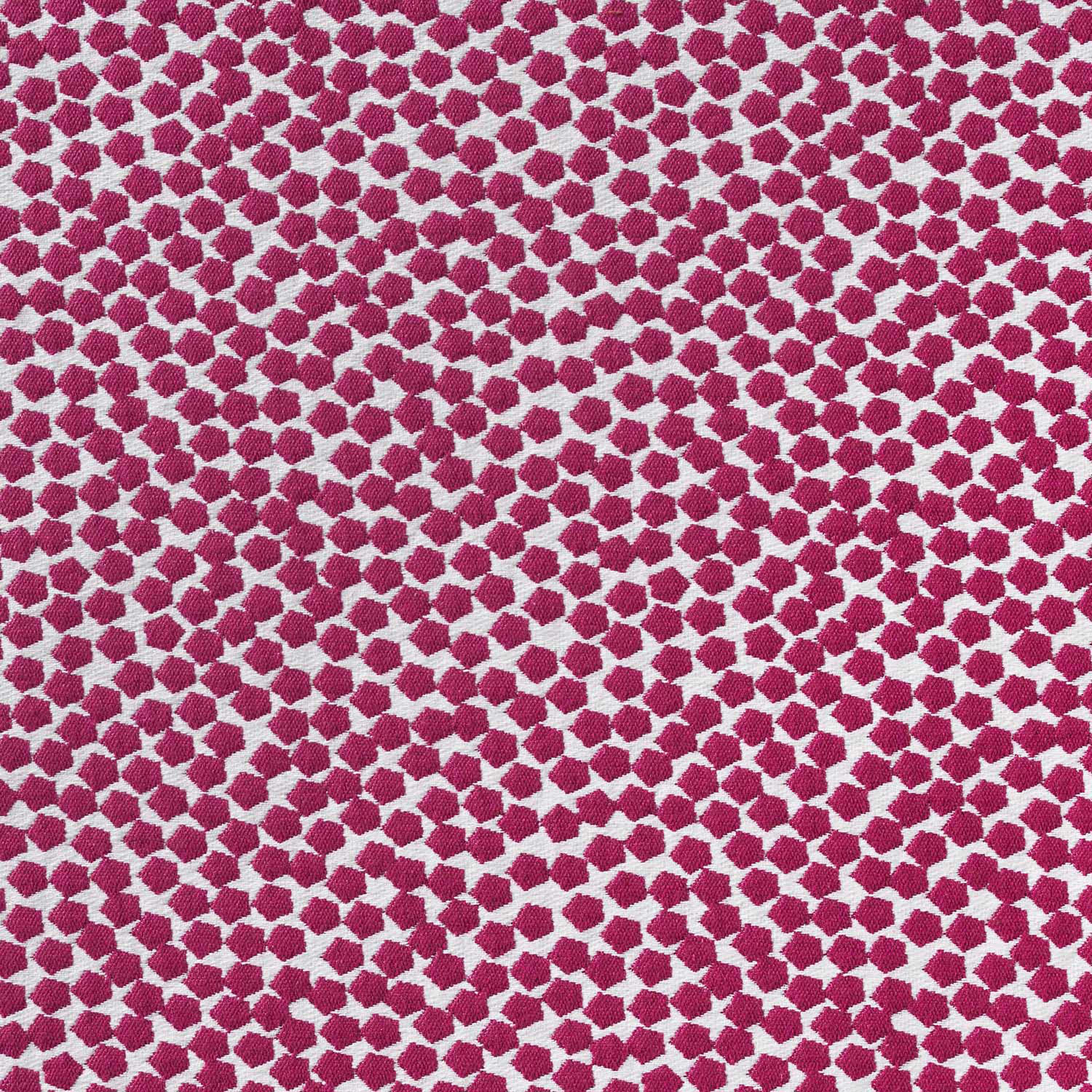 Bubble 10591_41