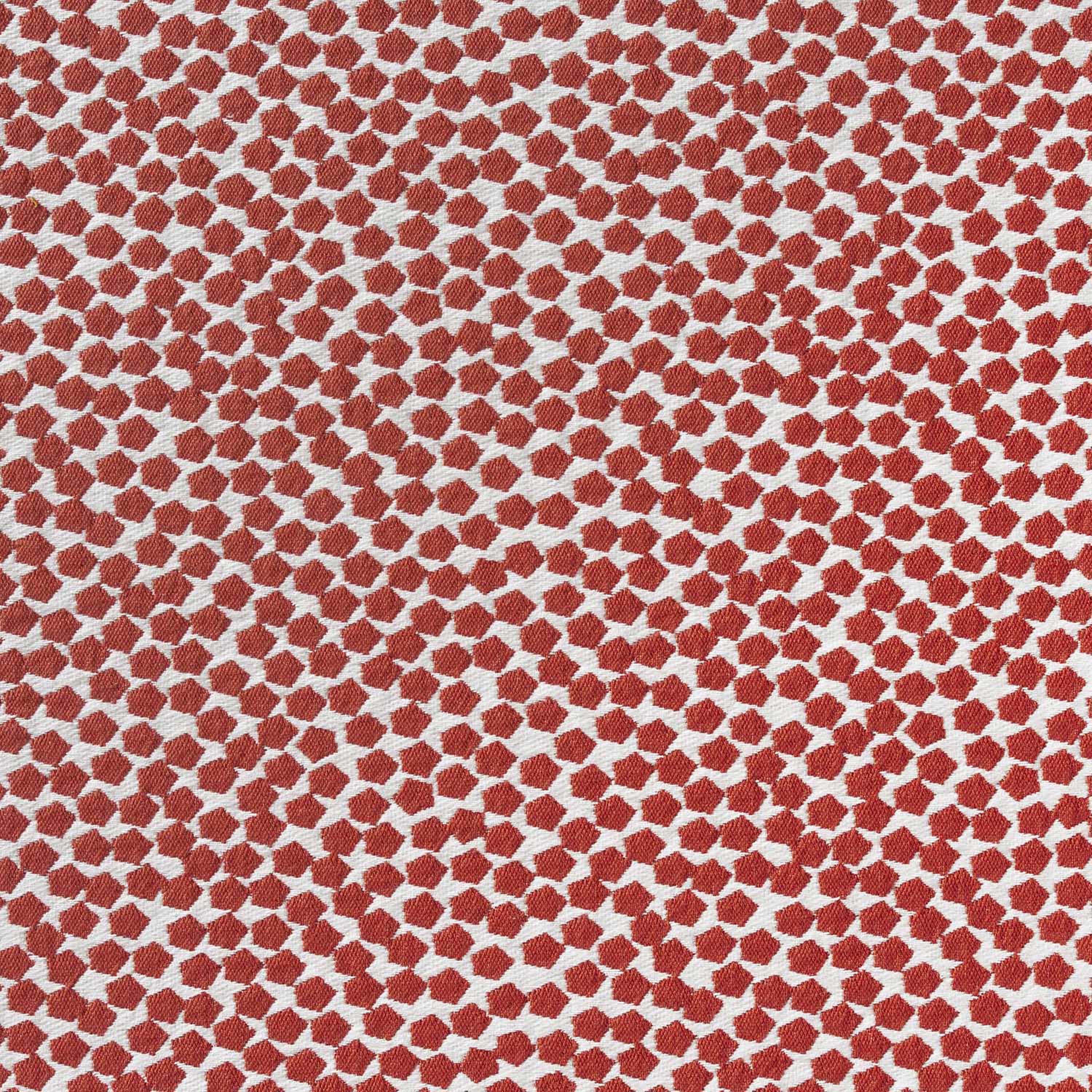 Bubble 10591_56