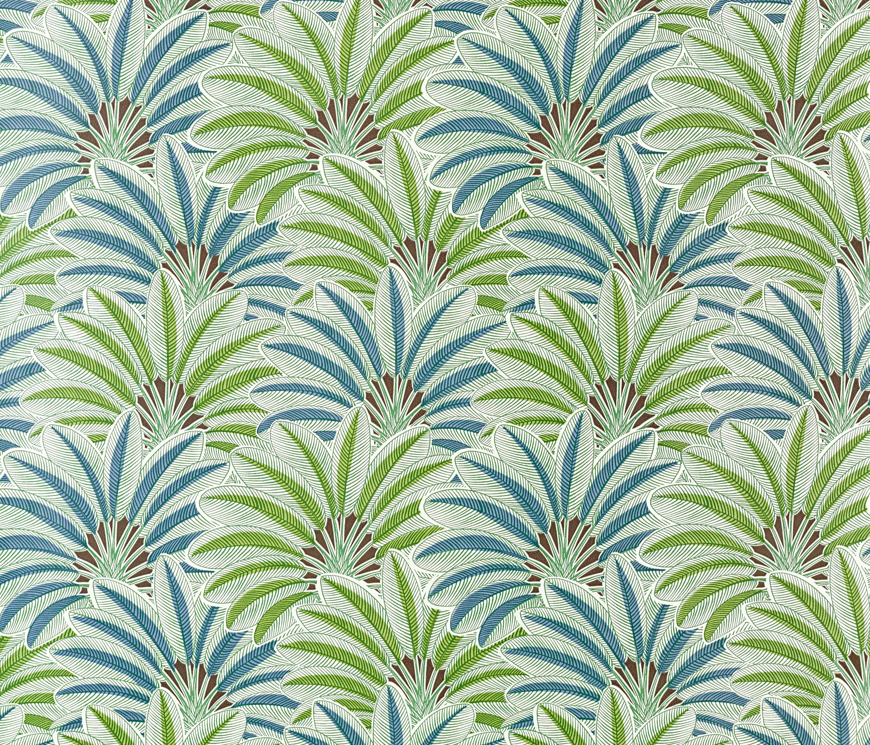 NOBILIS - Brazilla COS60