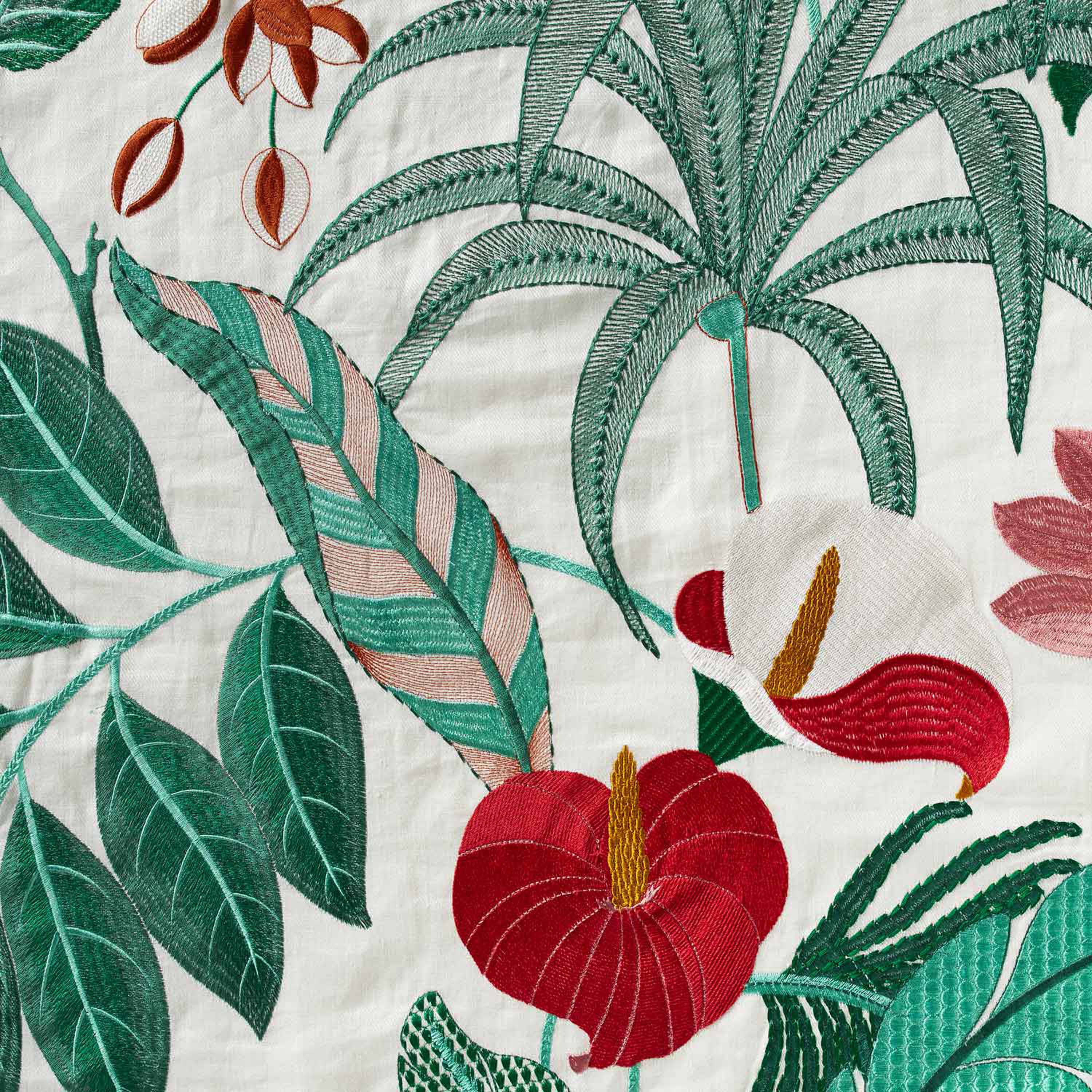 Hibiskus 10579_49