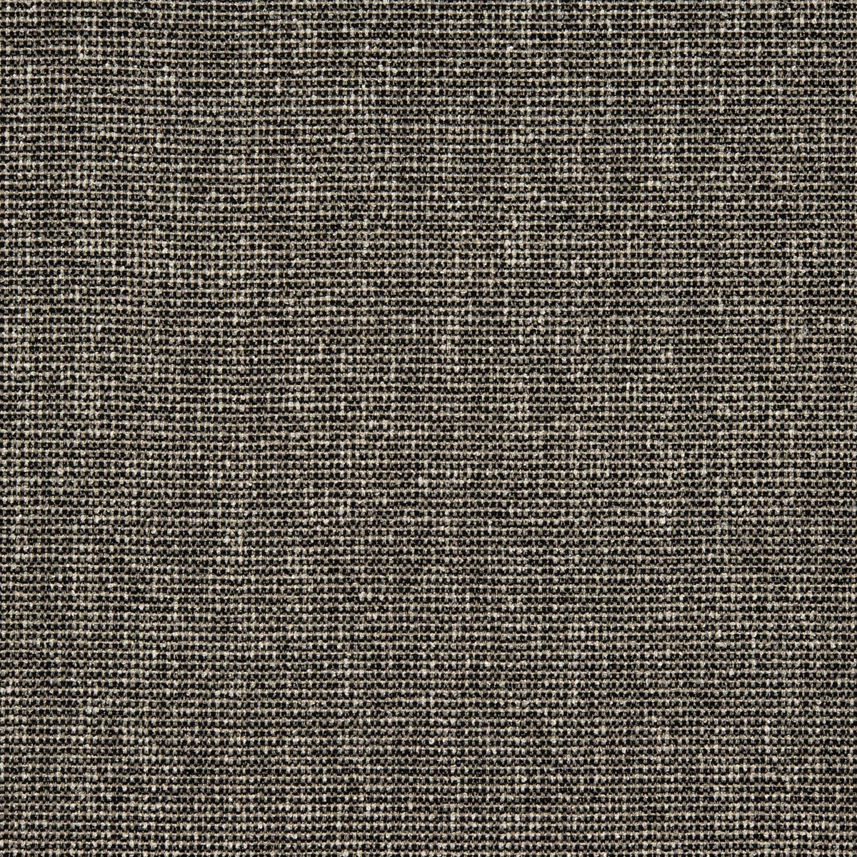 Zak 10667_23