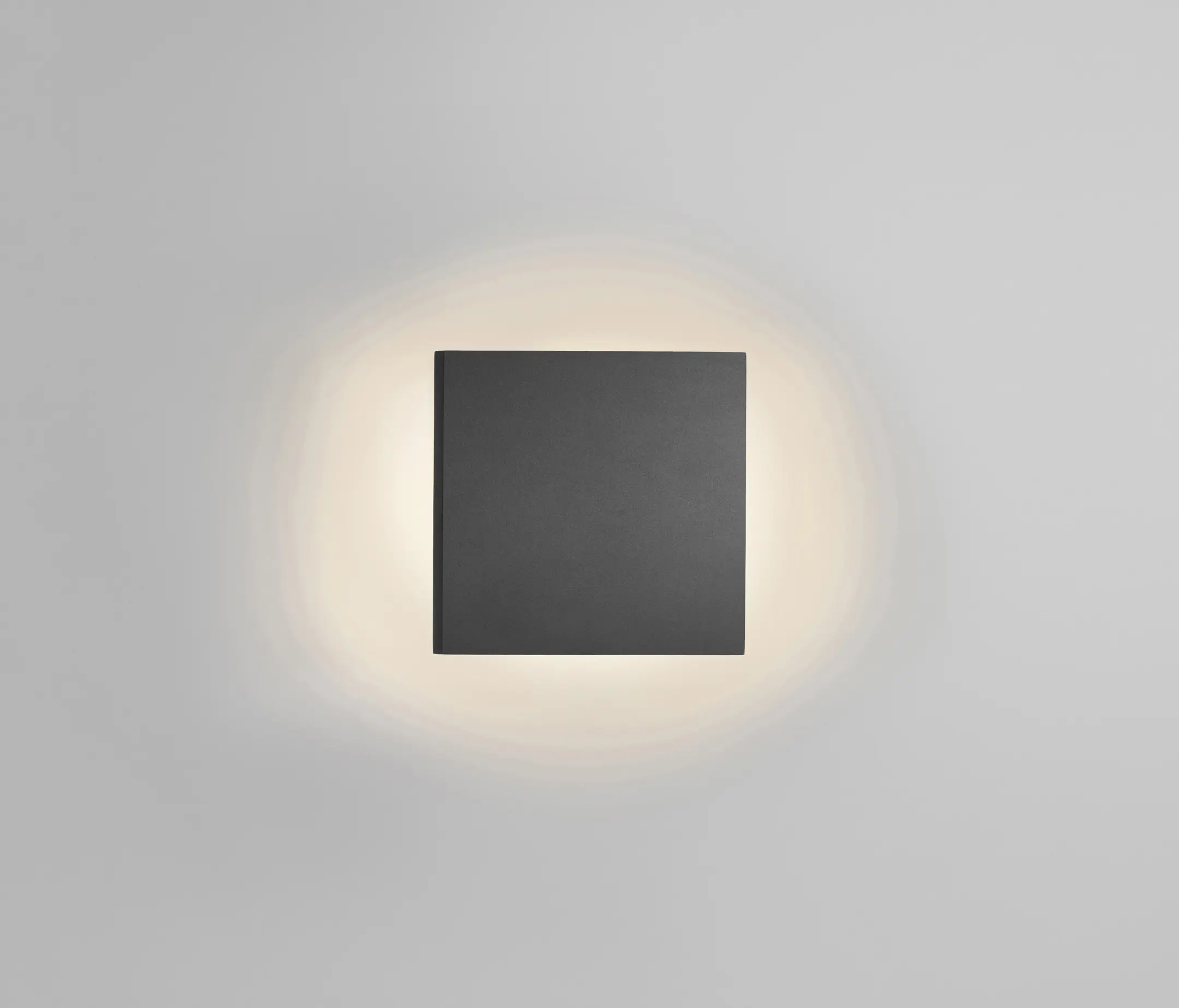Light-Point - Noho 1