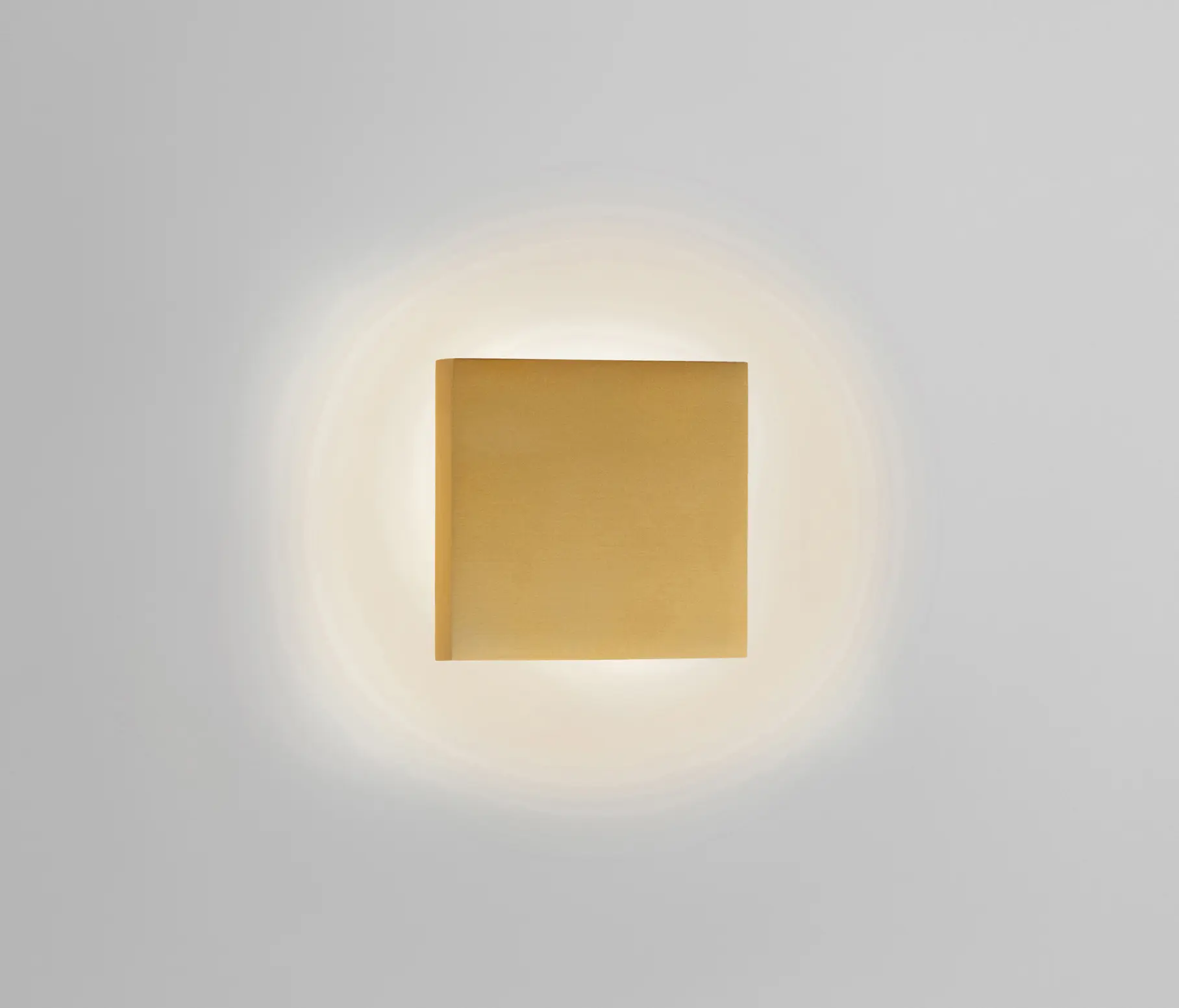 Light-Point - Noho 1