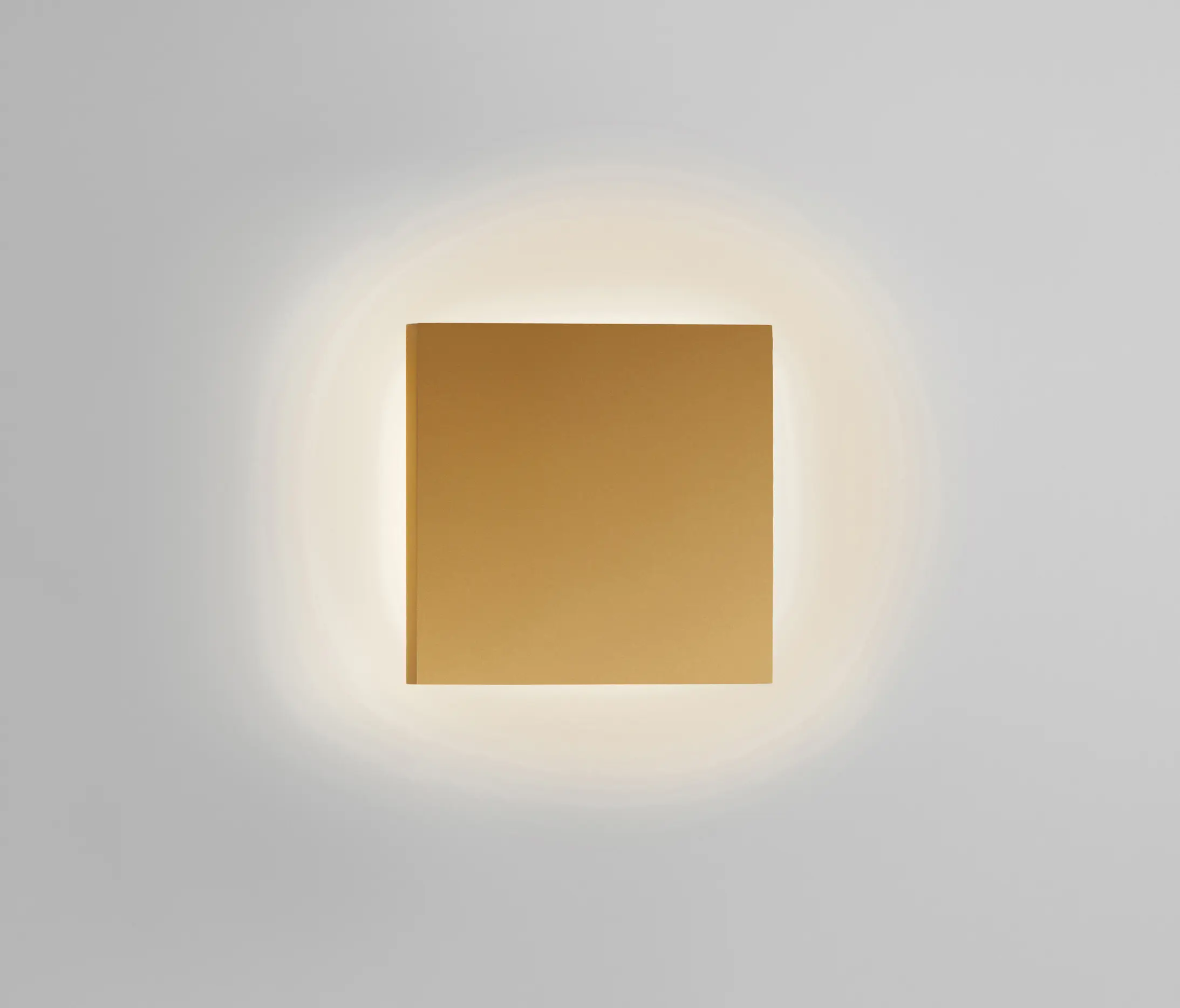 Light-Point - Noho 2