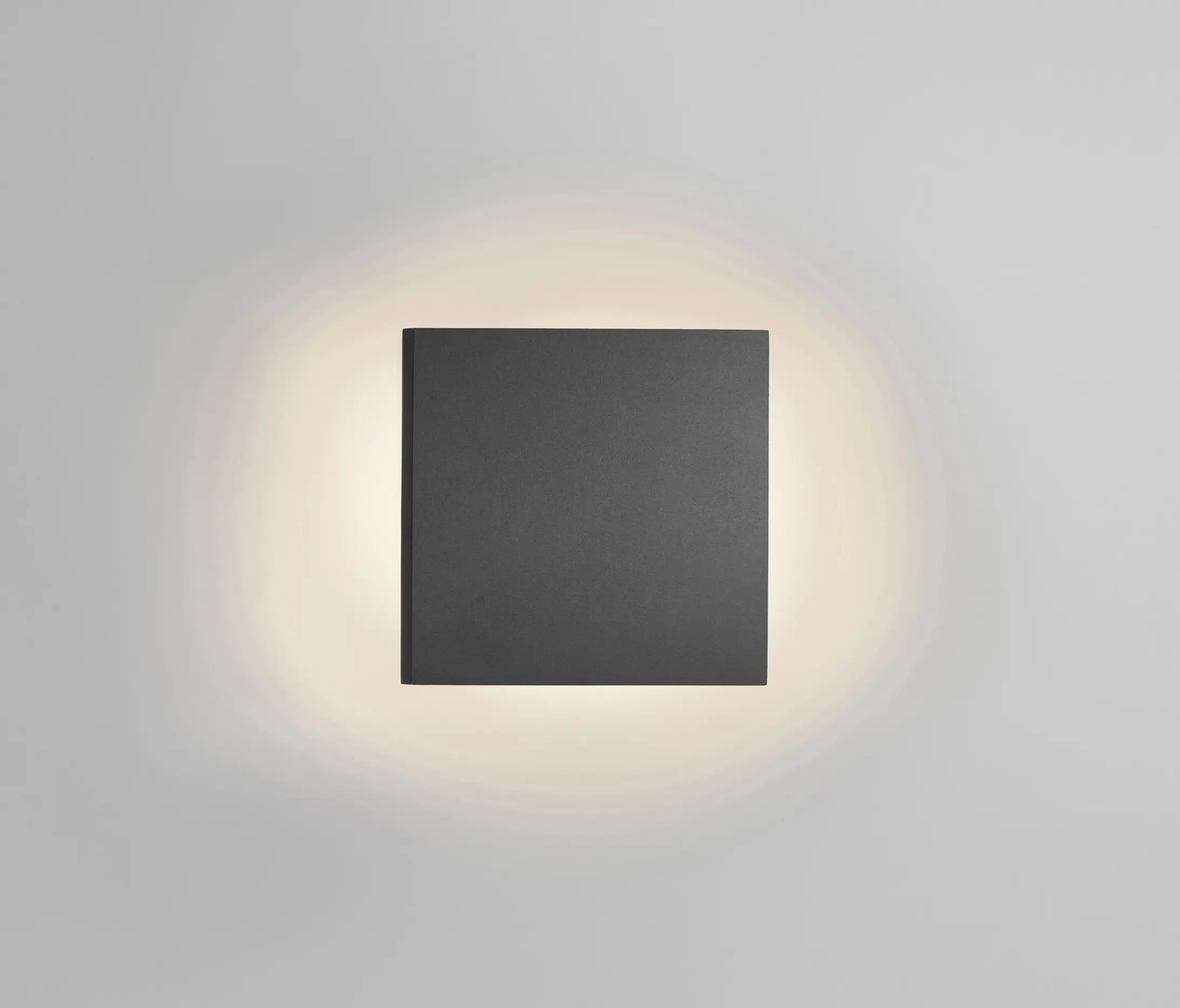 Light-Point - Noho 2