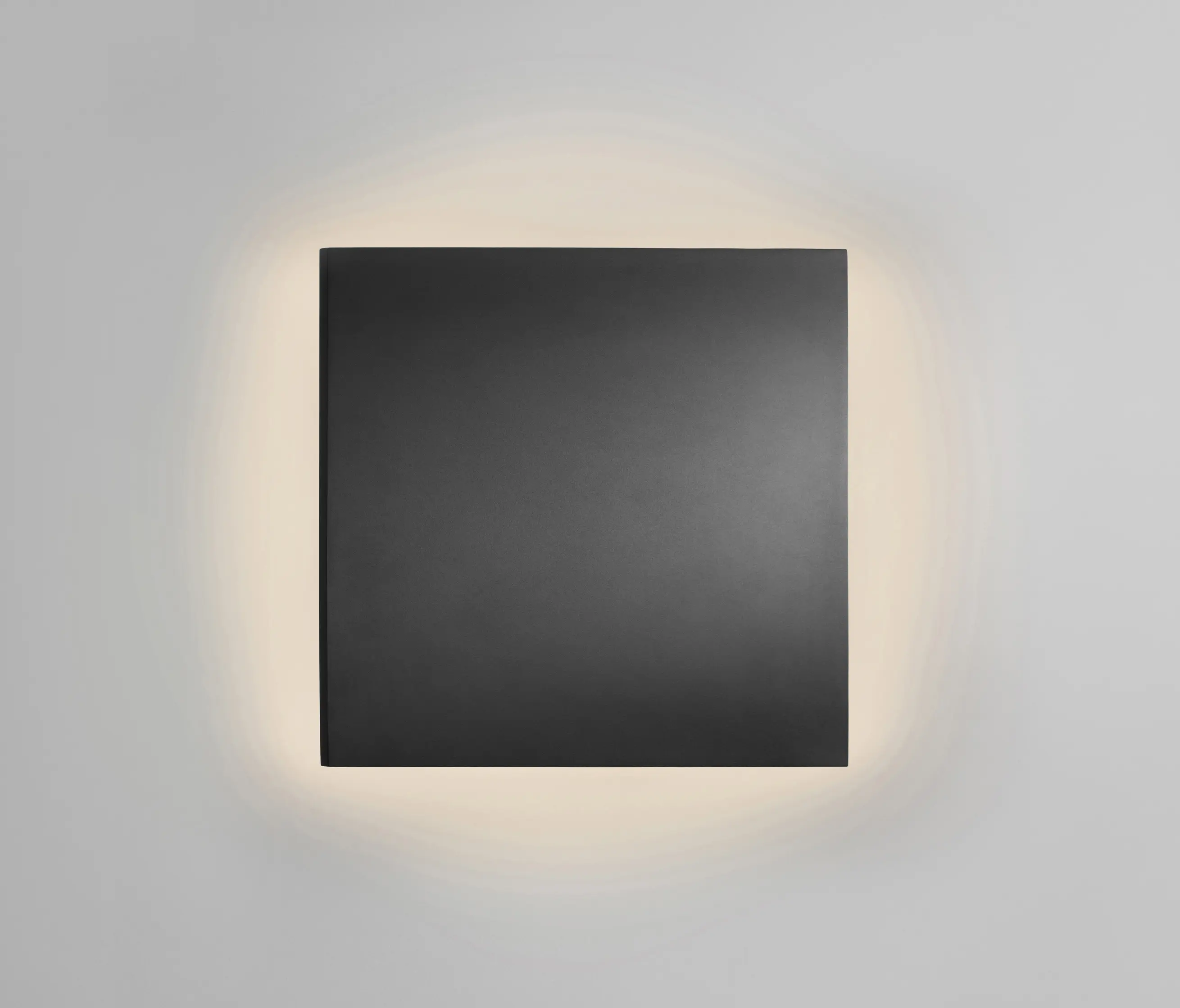 Light-Point - Noho 4