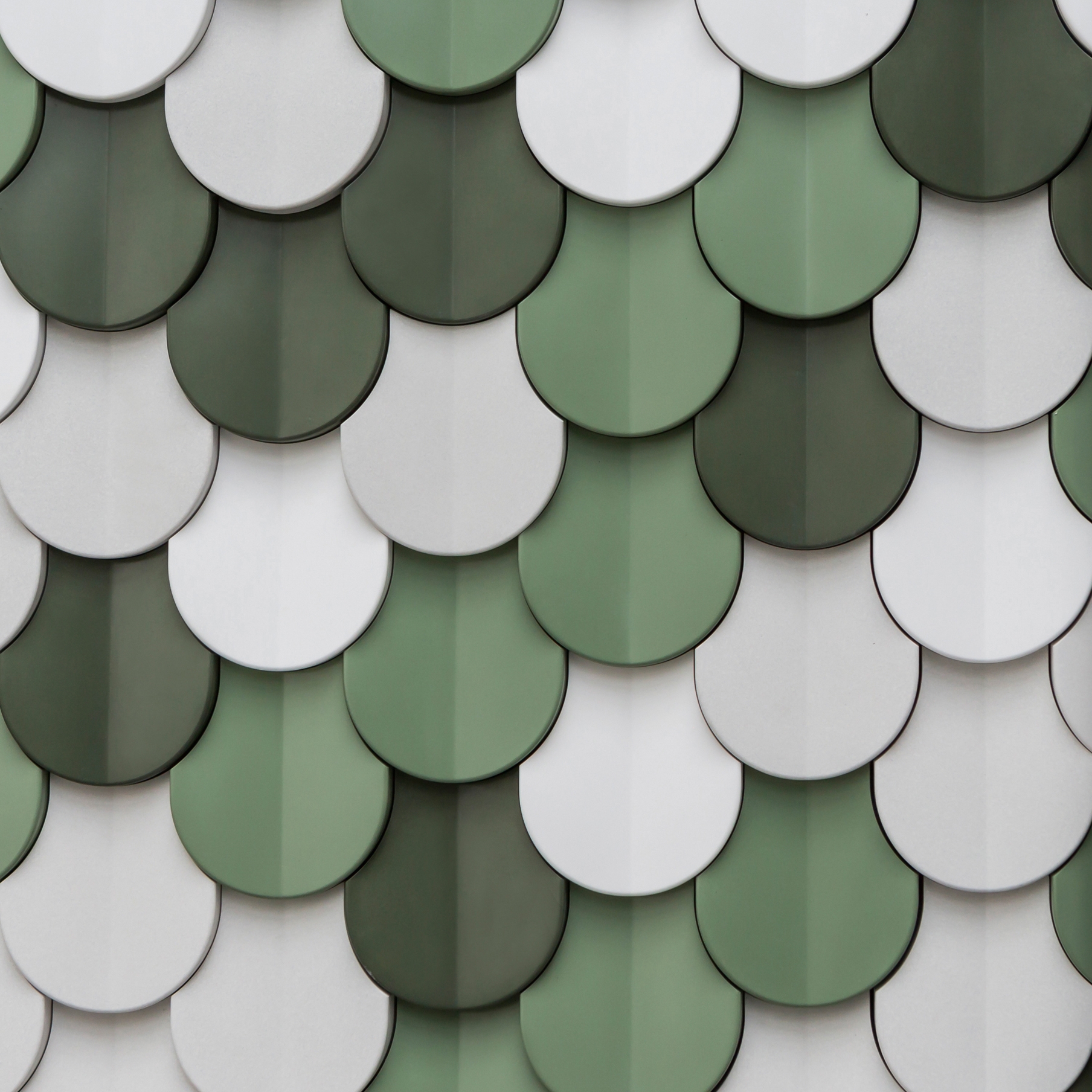 Shingle