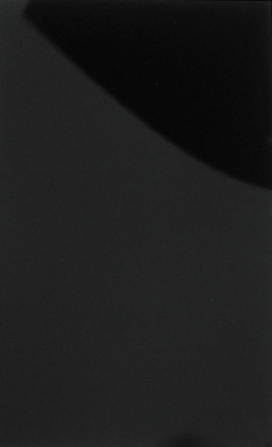 e-Delux - Deco - Pannello decorativo per pareti WallFace Deco Collection 15423