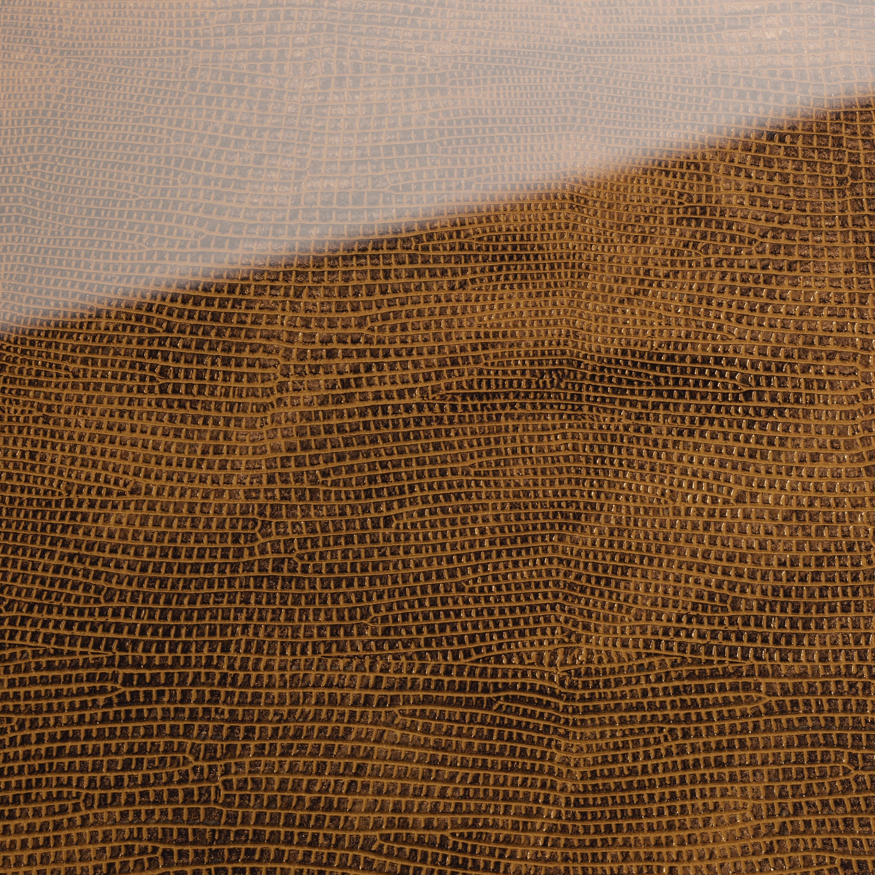 S-Glass - Wall panel WallFace S-Glass Collection 16981 AR+