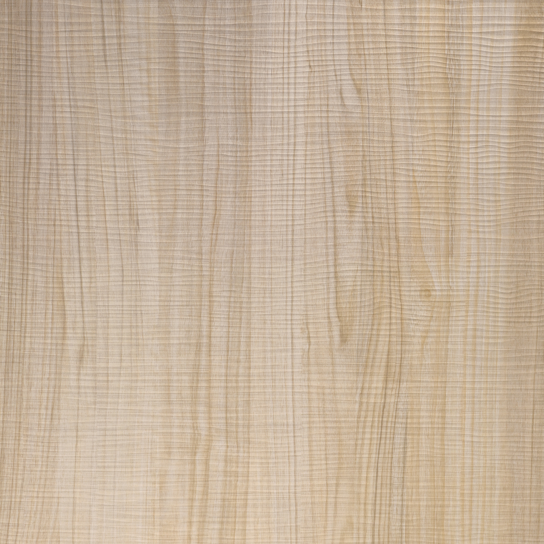 Wood - Wall panel WallFace Wood Collection 19029