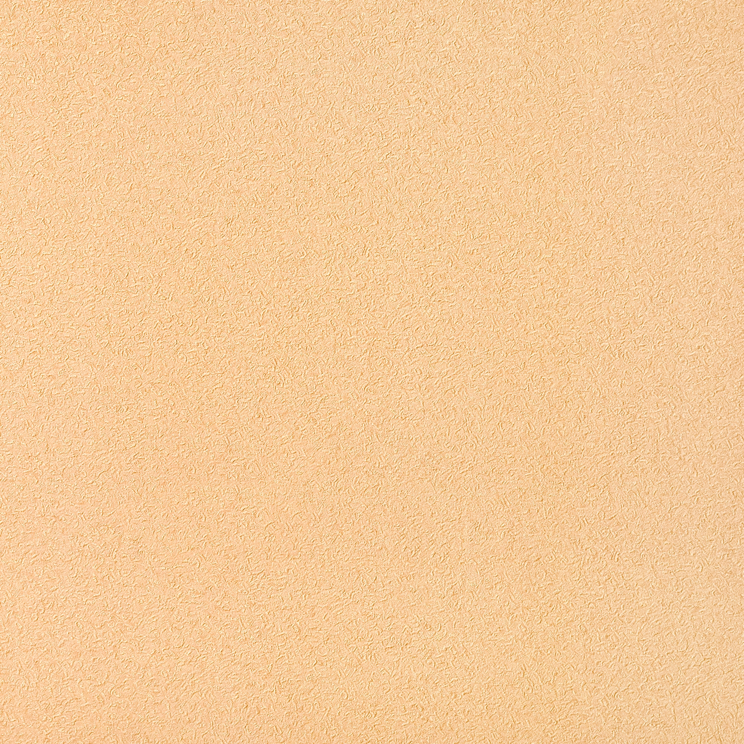 STATUS - Solid colour wallpaper EDEM 917-23