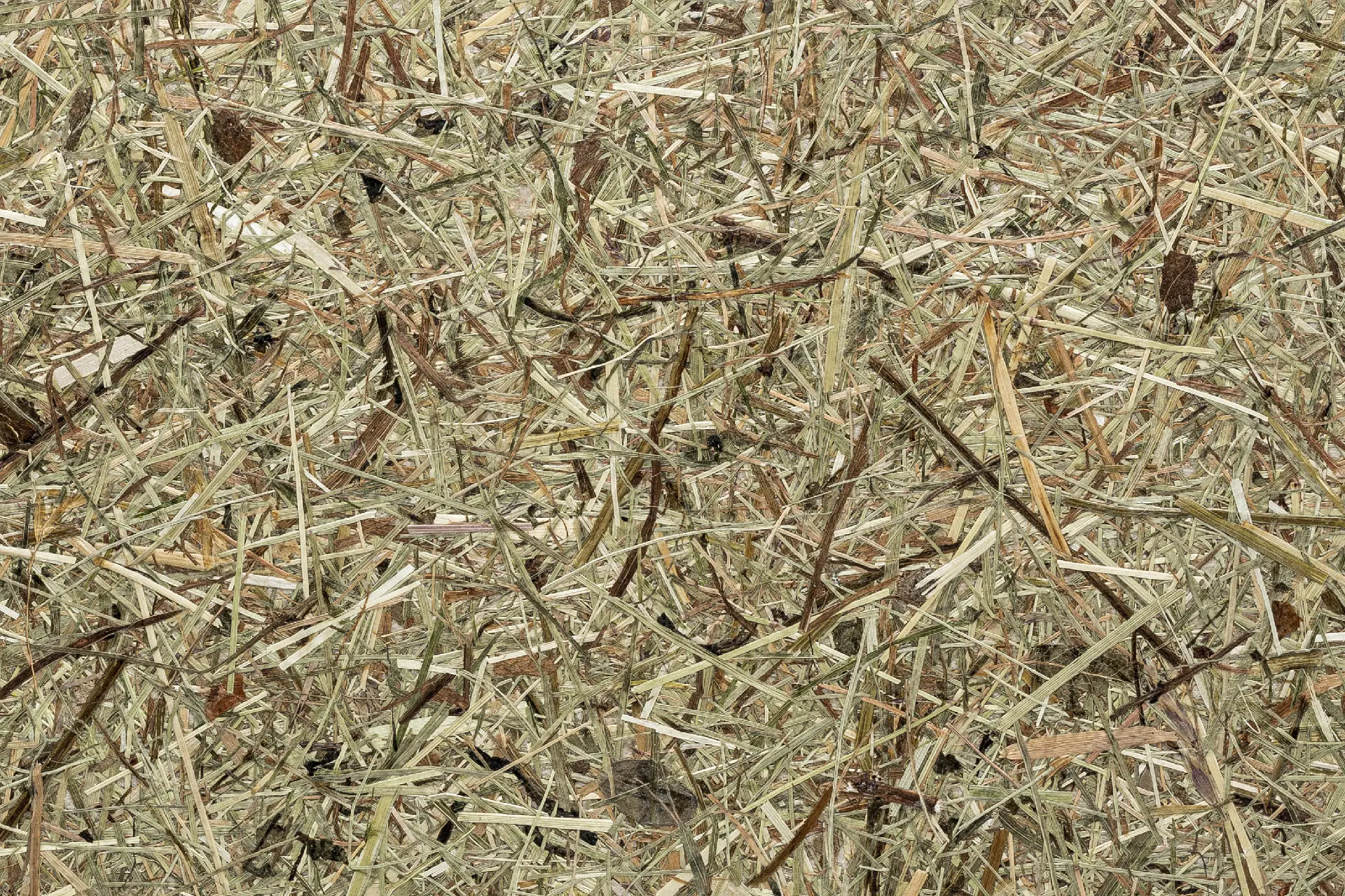 e-Delux - Natural - Panello decorativo per pareti WallFace Natural Collection AL-11001-SA
