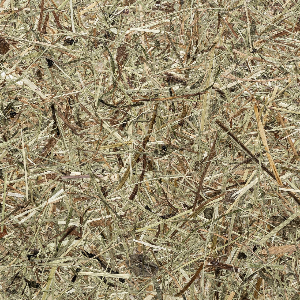 Display product Natural - Wall panel WallFace Natural Collection AL-11001-SA from manufacturer e-Delux