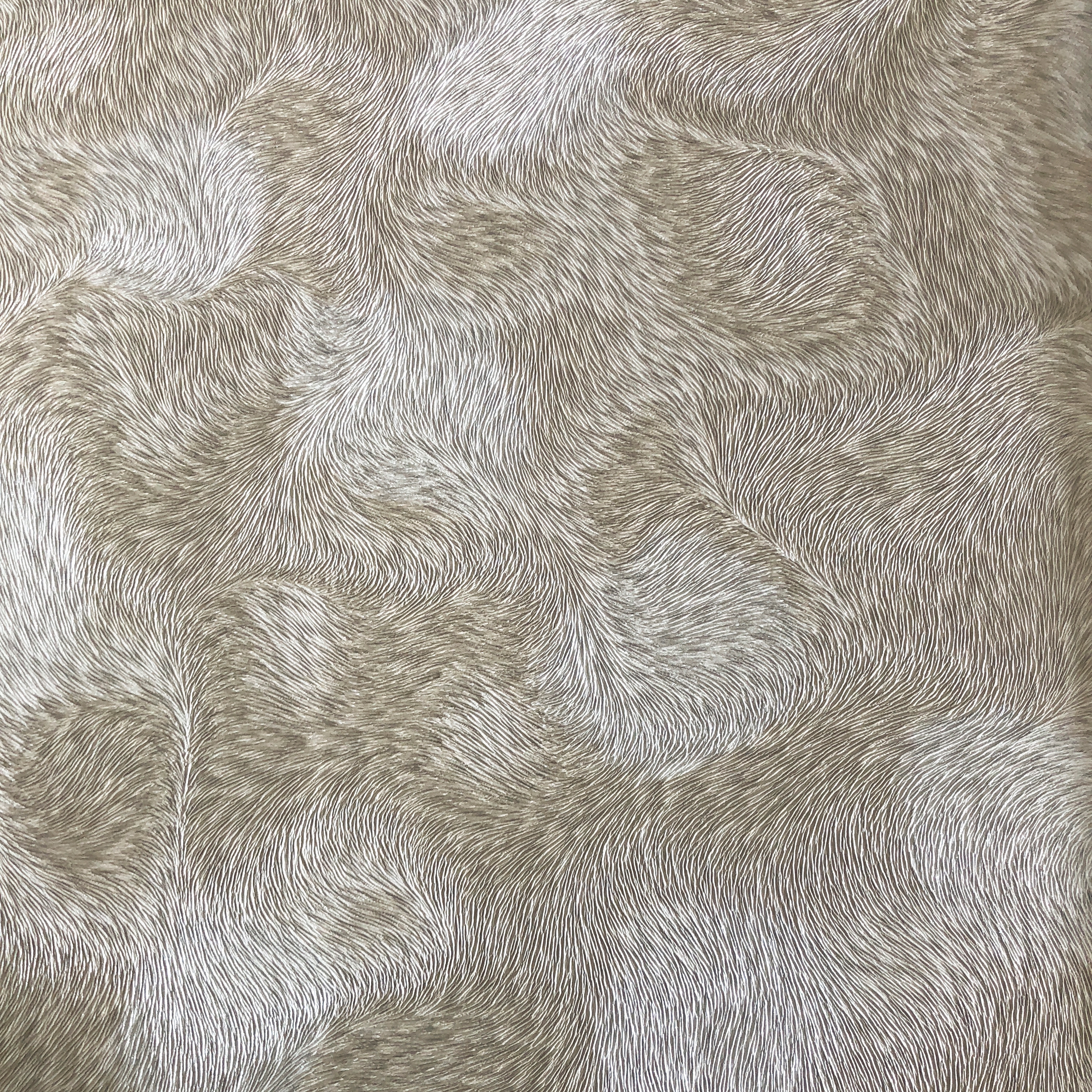 Display product CAHILL - Fur wallpaper Profhome 822301 from manufacturer e-Delux