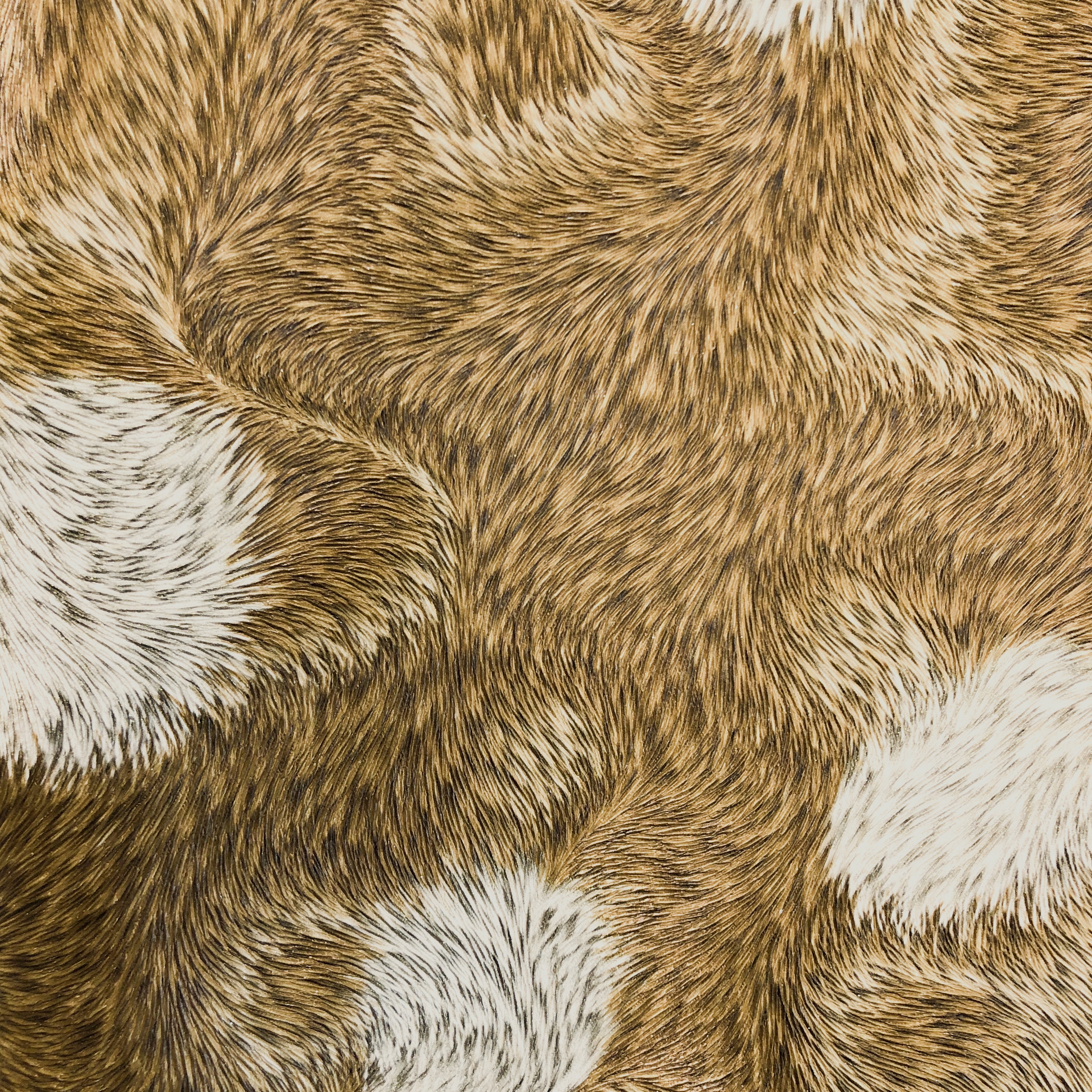 CAHILL - Fur wallpaper Profhome 822305