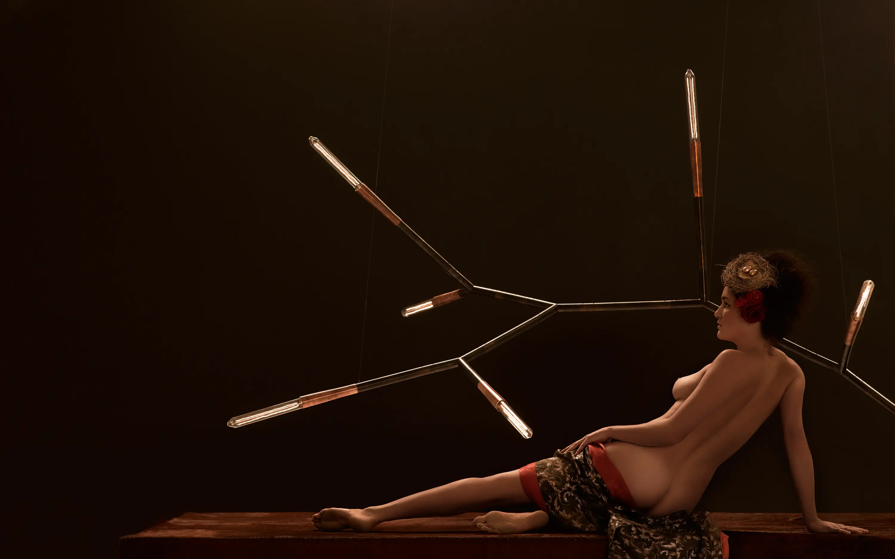 Christopher Boots - Phasmida