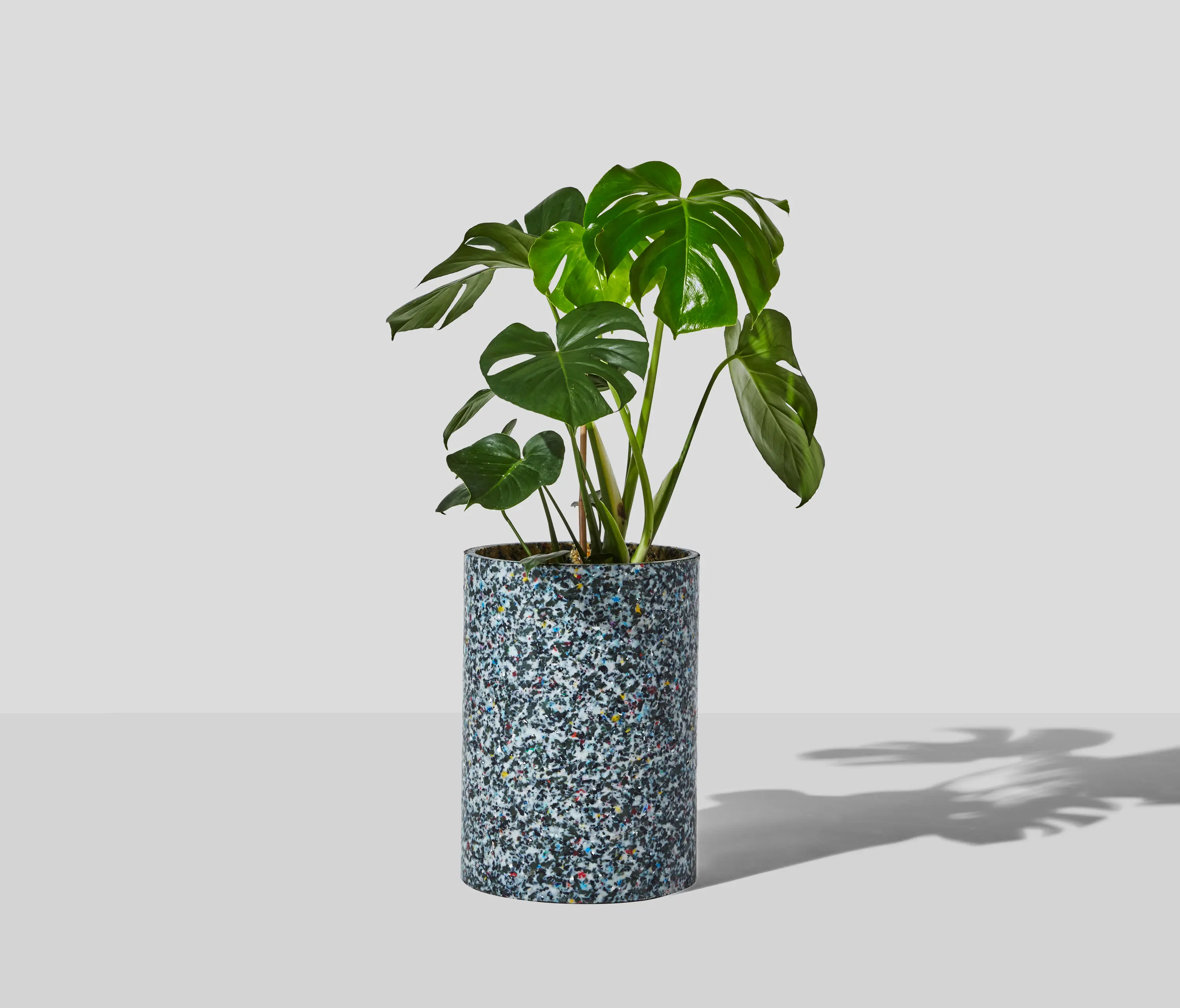 DesignByThem - Confetti Planter
