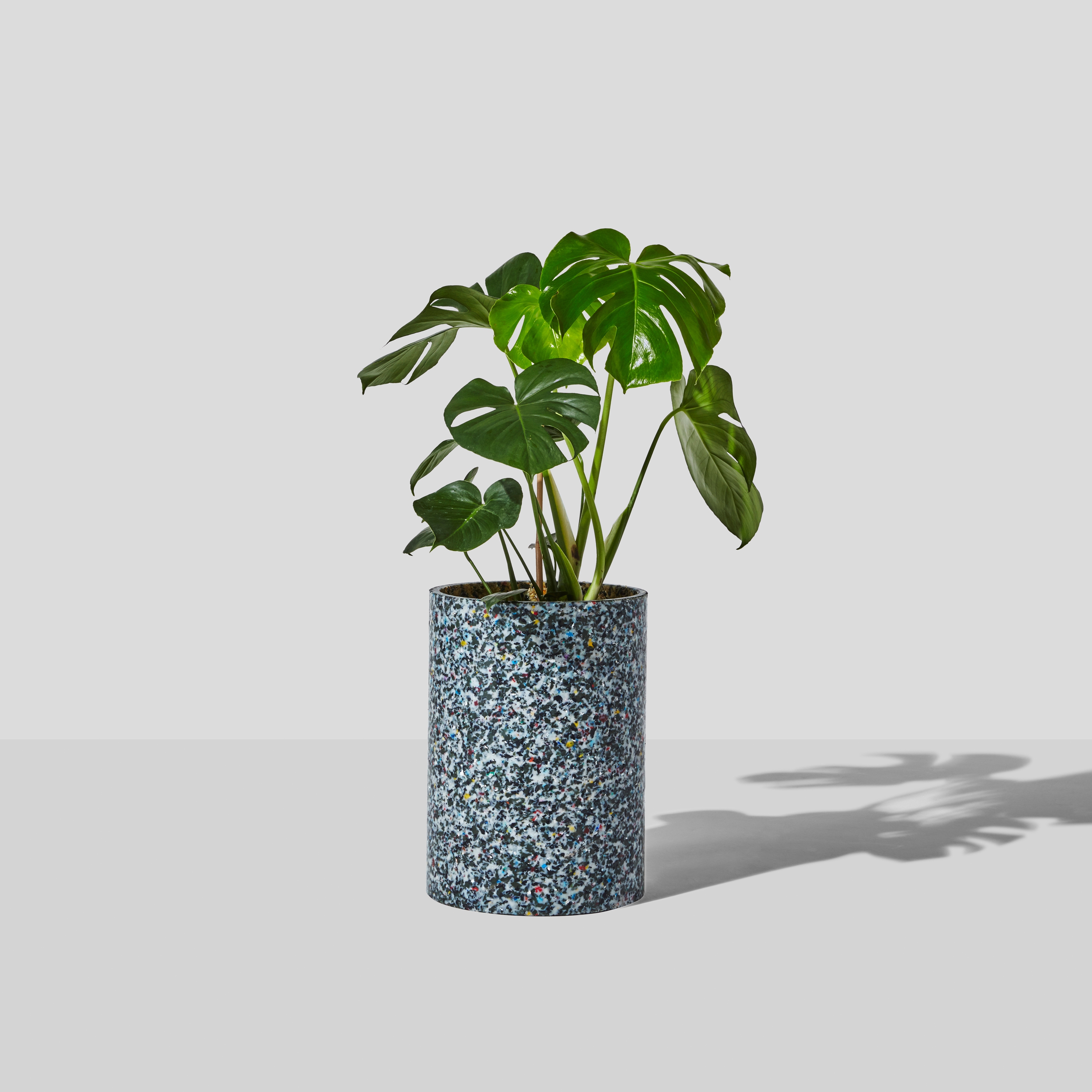 Mostra il prodotto Confetti Planter del produttore DesignByThem