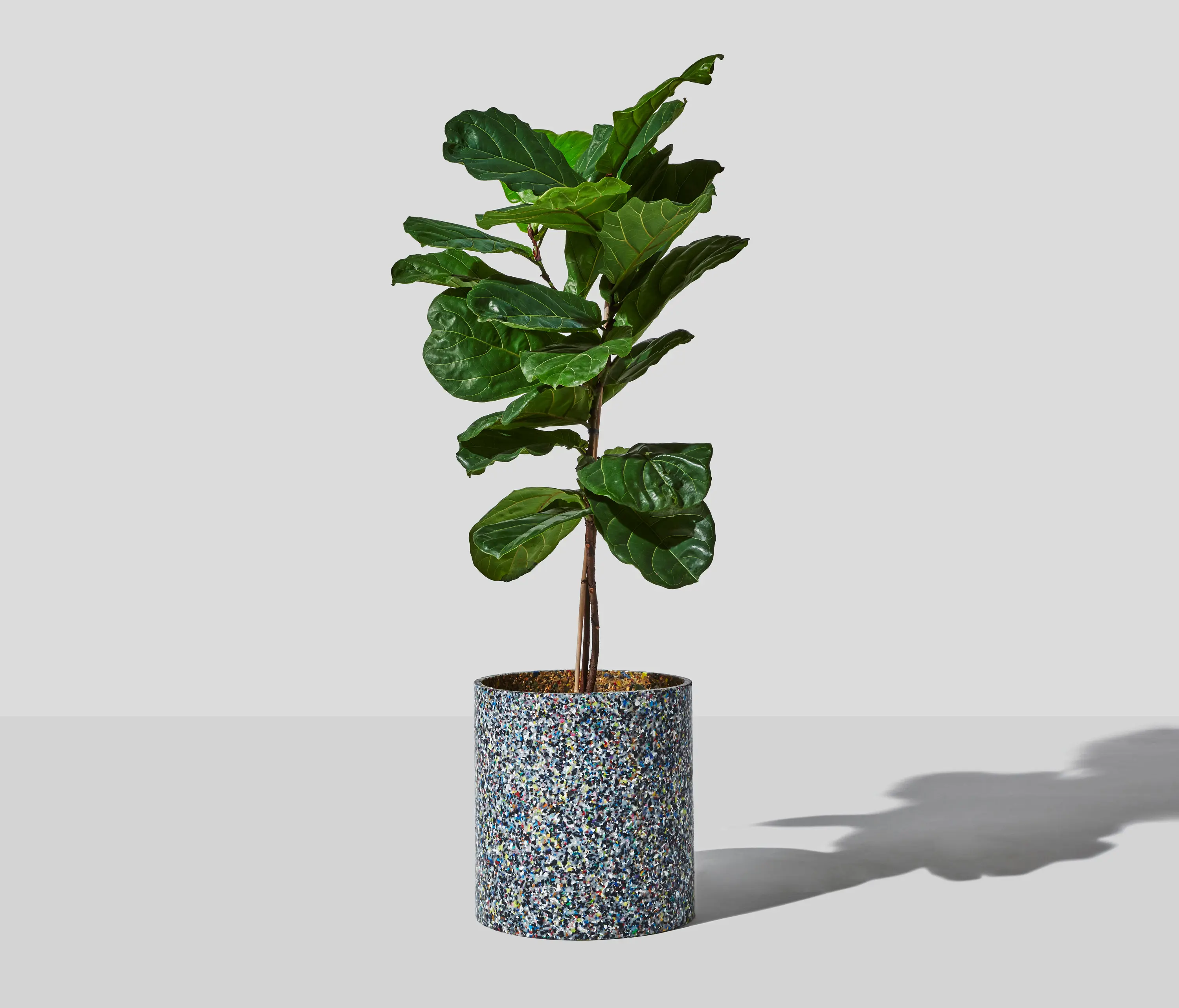 DesignByThem - Confetti Planter