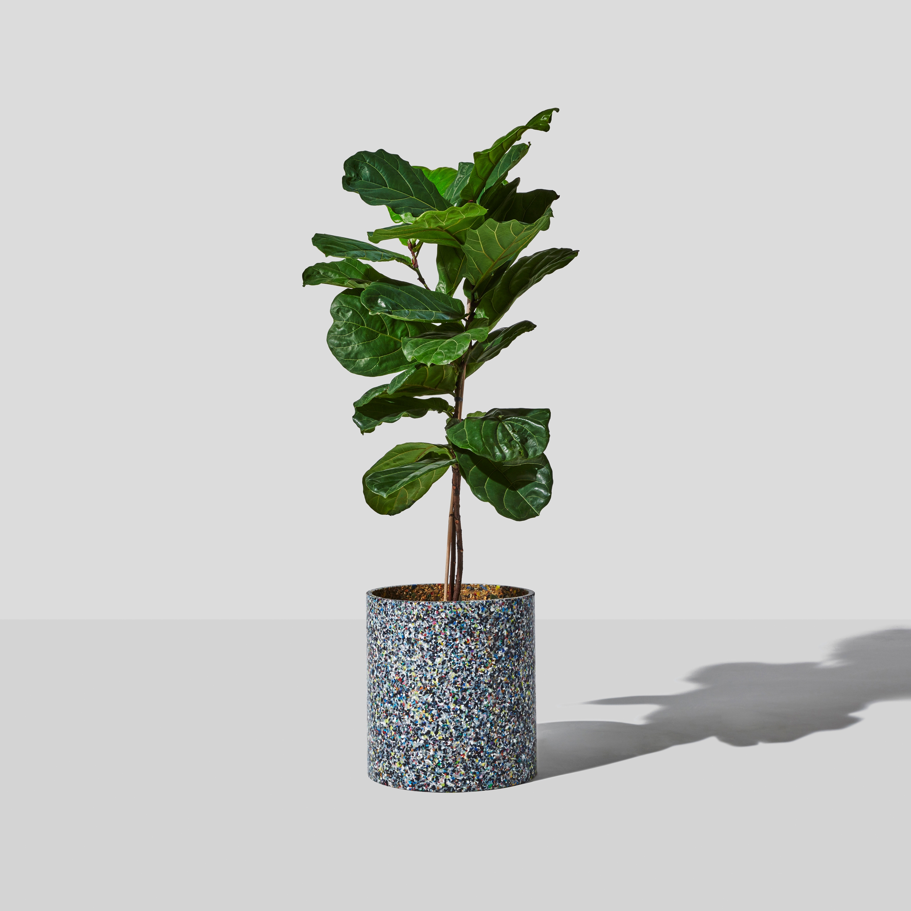 Confetti Planter