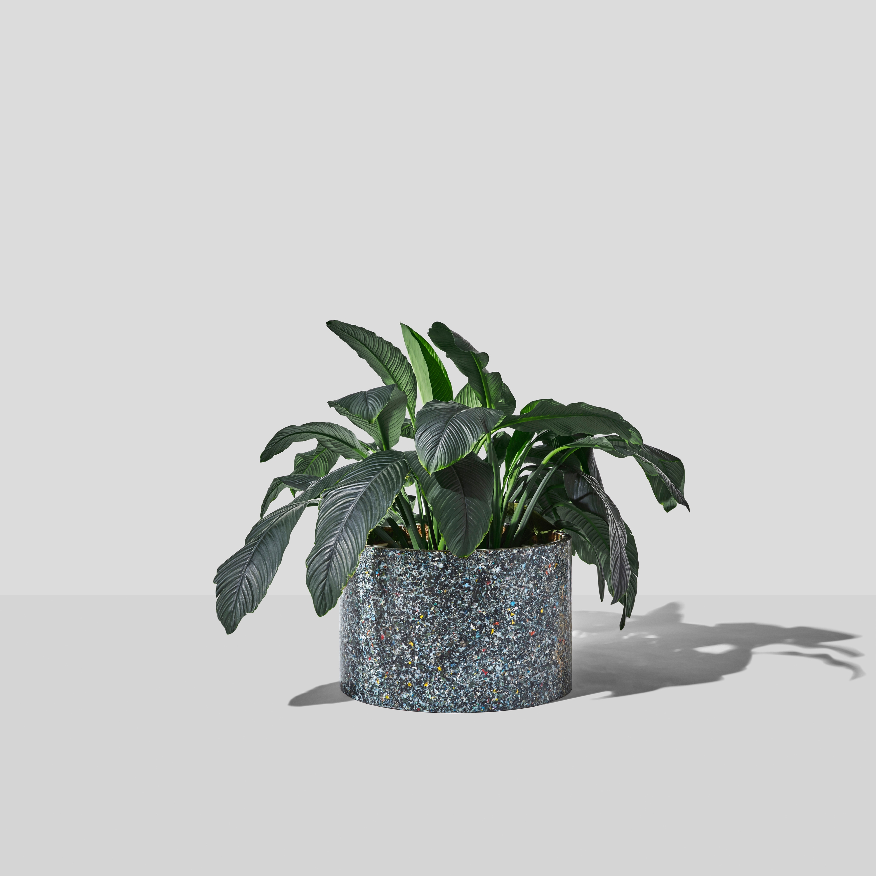 Confetti Planter